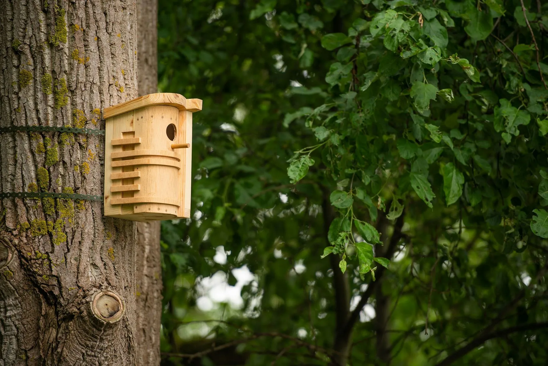 Inkilai Kauno centre