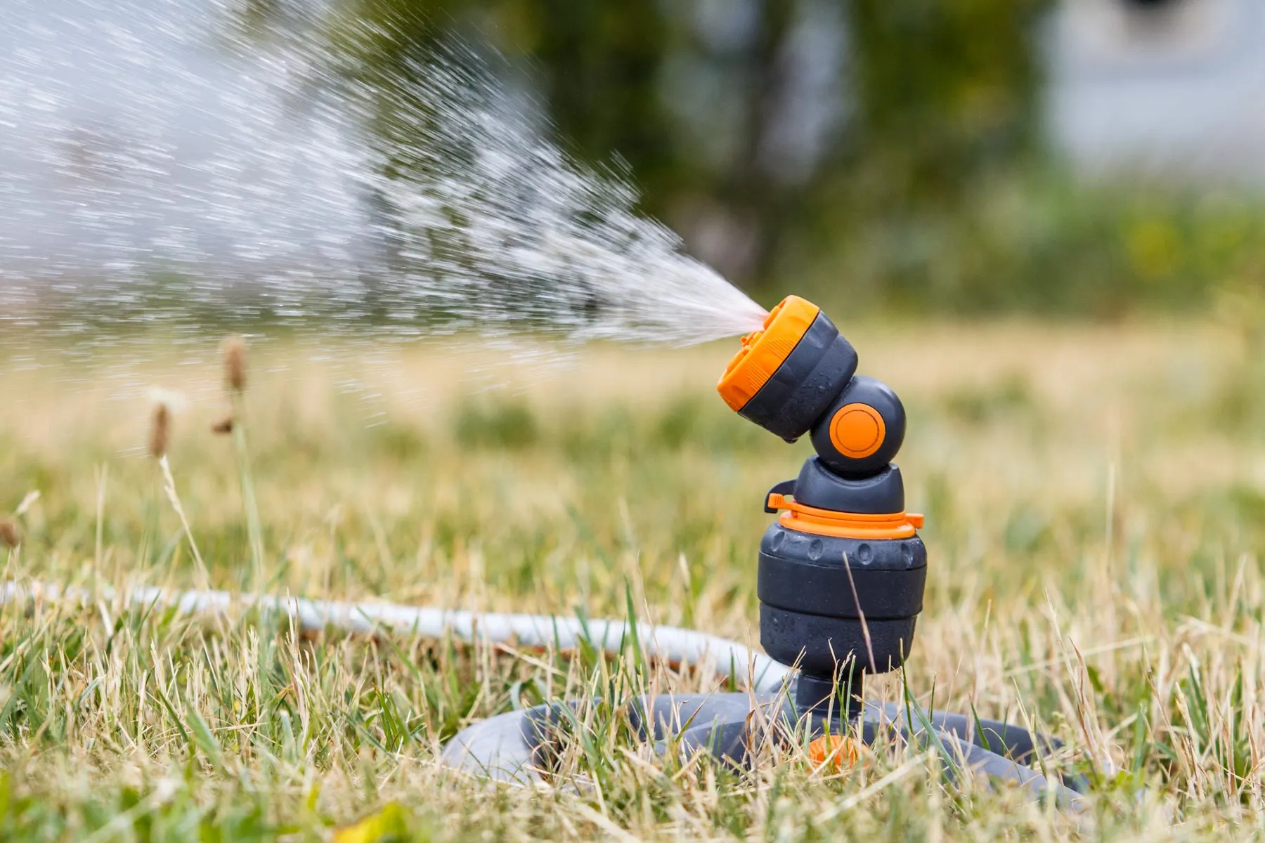 Vandens žarna, pievos laistymas, vanduo
