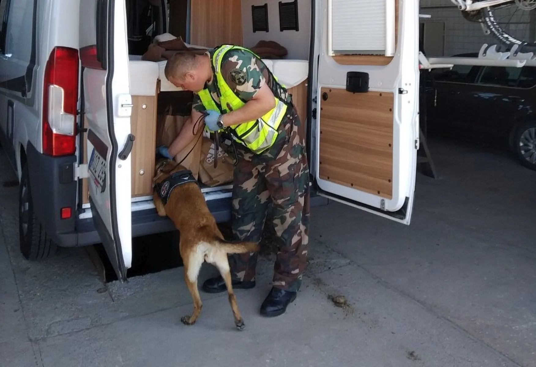 Pasienyje sulaikyta narkotikų siunta