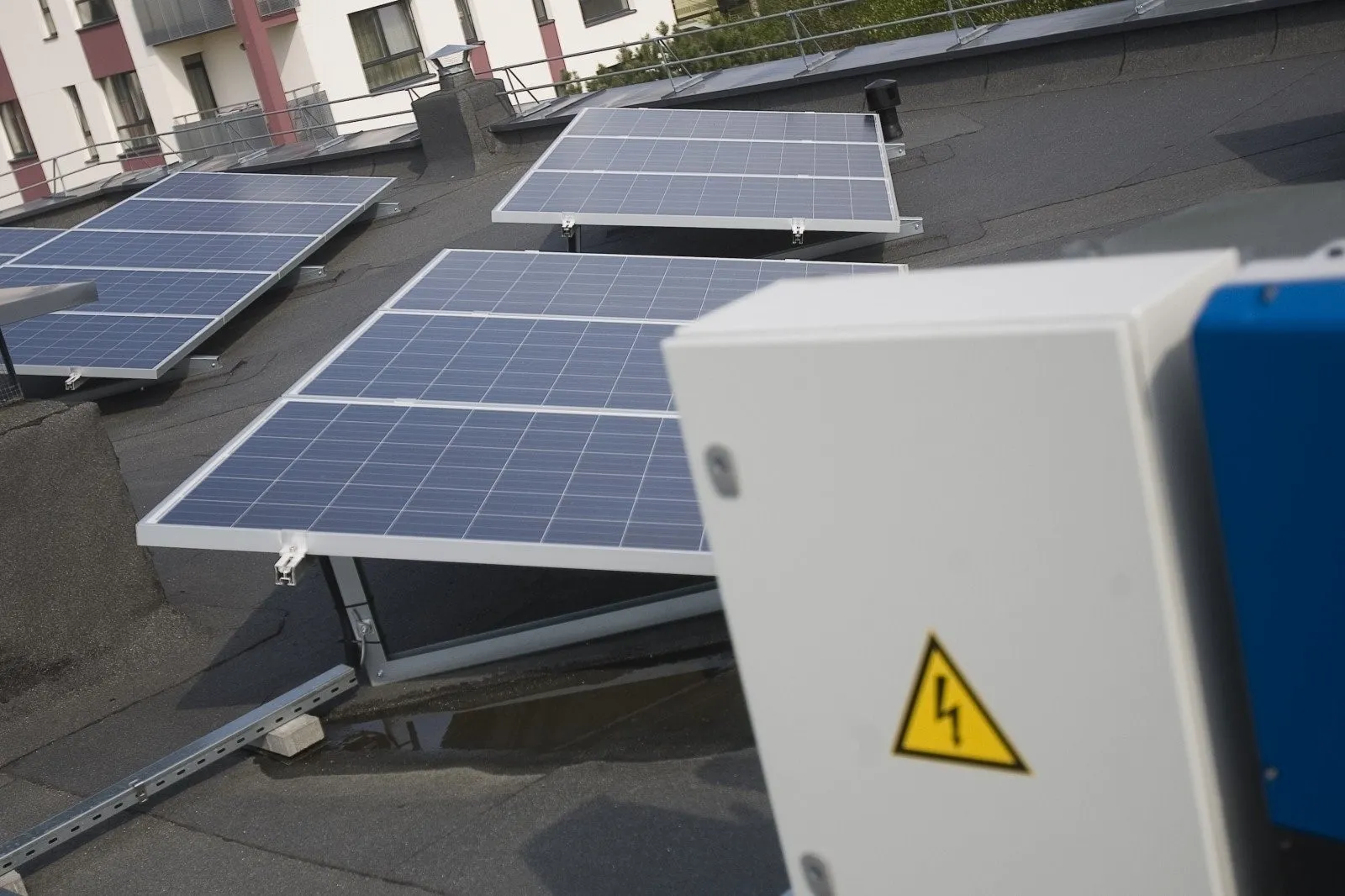 66284560_2318666998372590_1260289266030739456_n