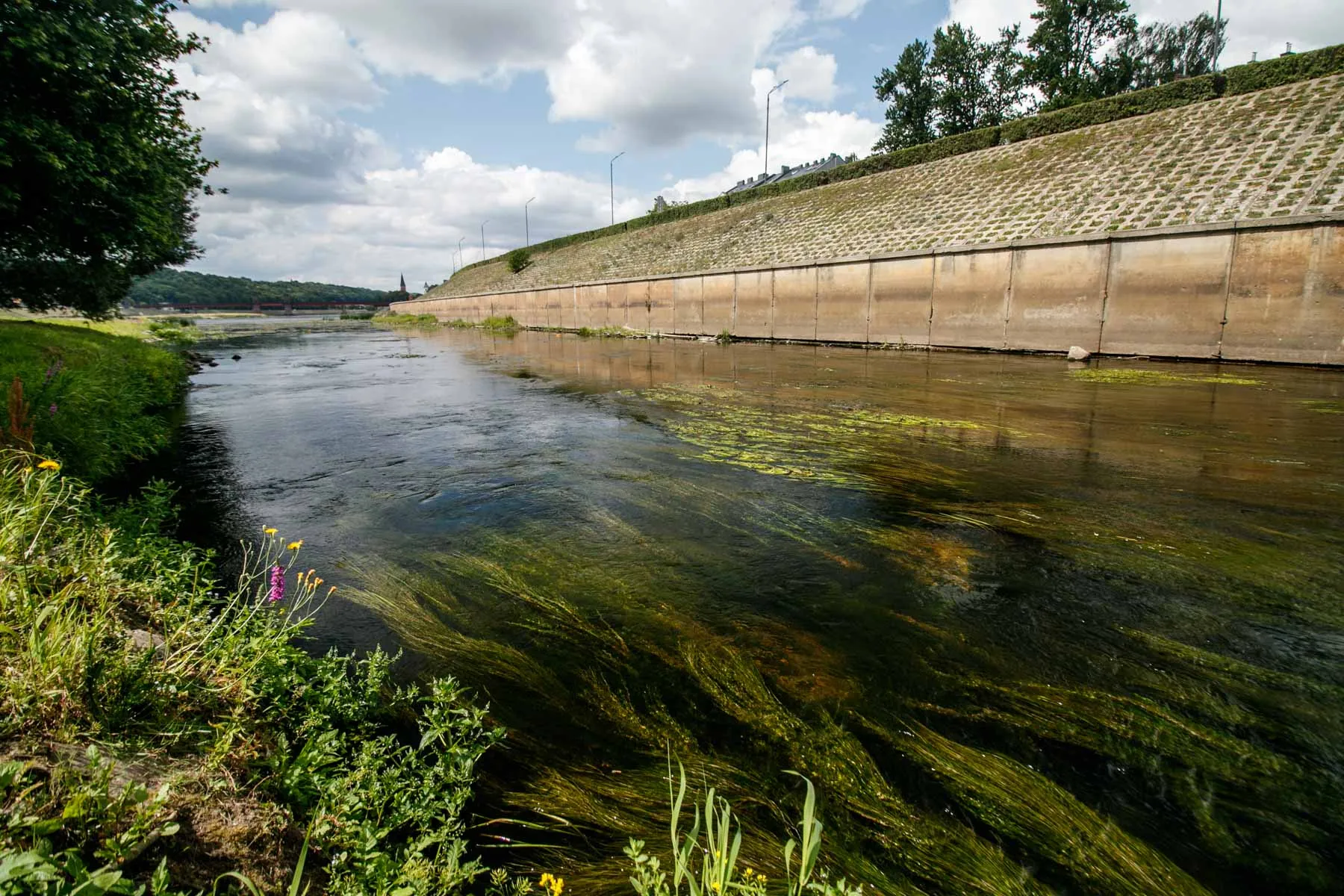 Kaune nusekęs Nemunas