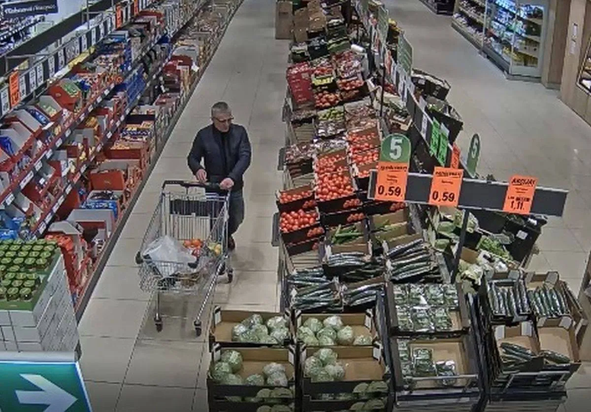 Vagystė Šiaurės pr.