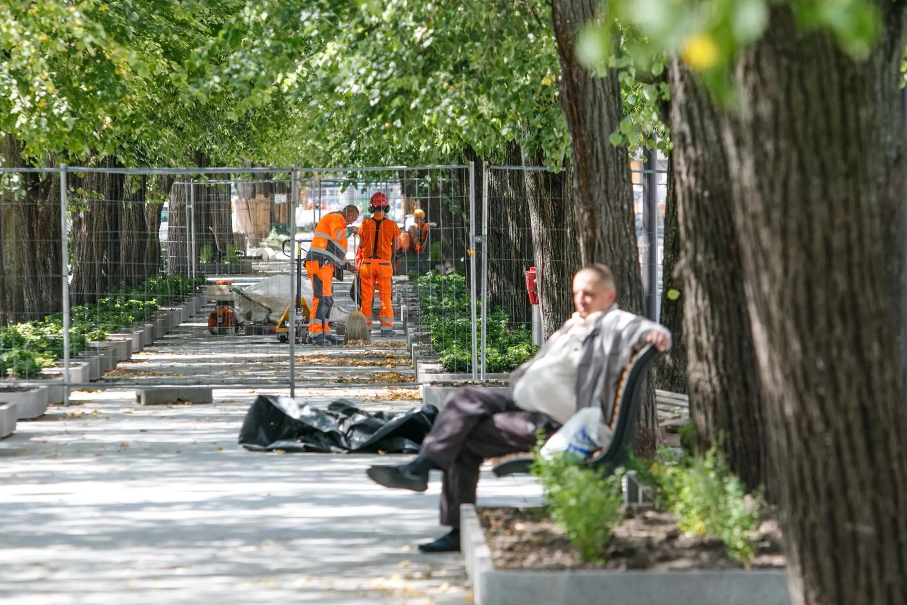 Laisvės alėjos rekonstrukcija