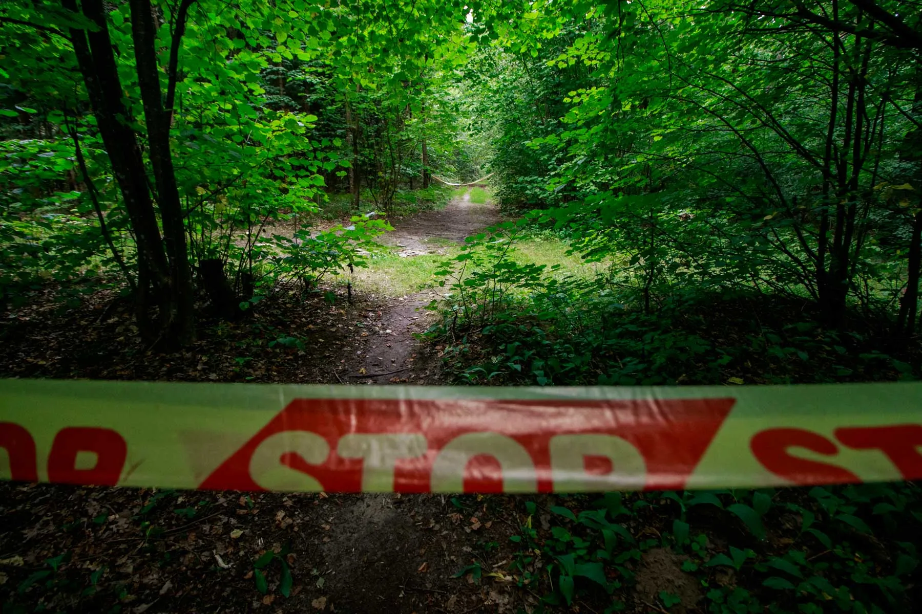 Kleboniškio miškas, kur rastas nužudyto vyro kūnas