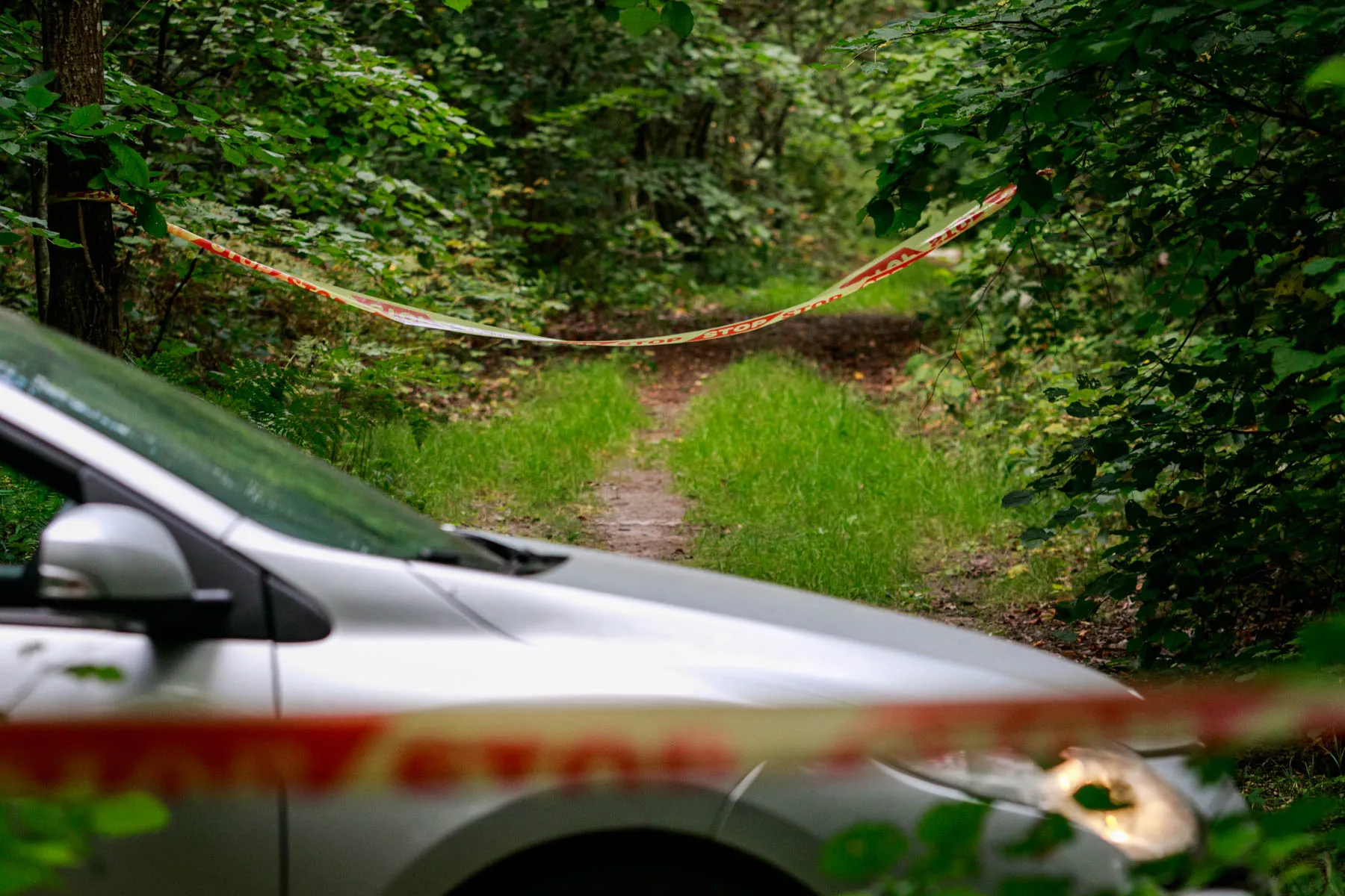 Kleboniškio miškas, kur rastas nužudyto vyro kūnas