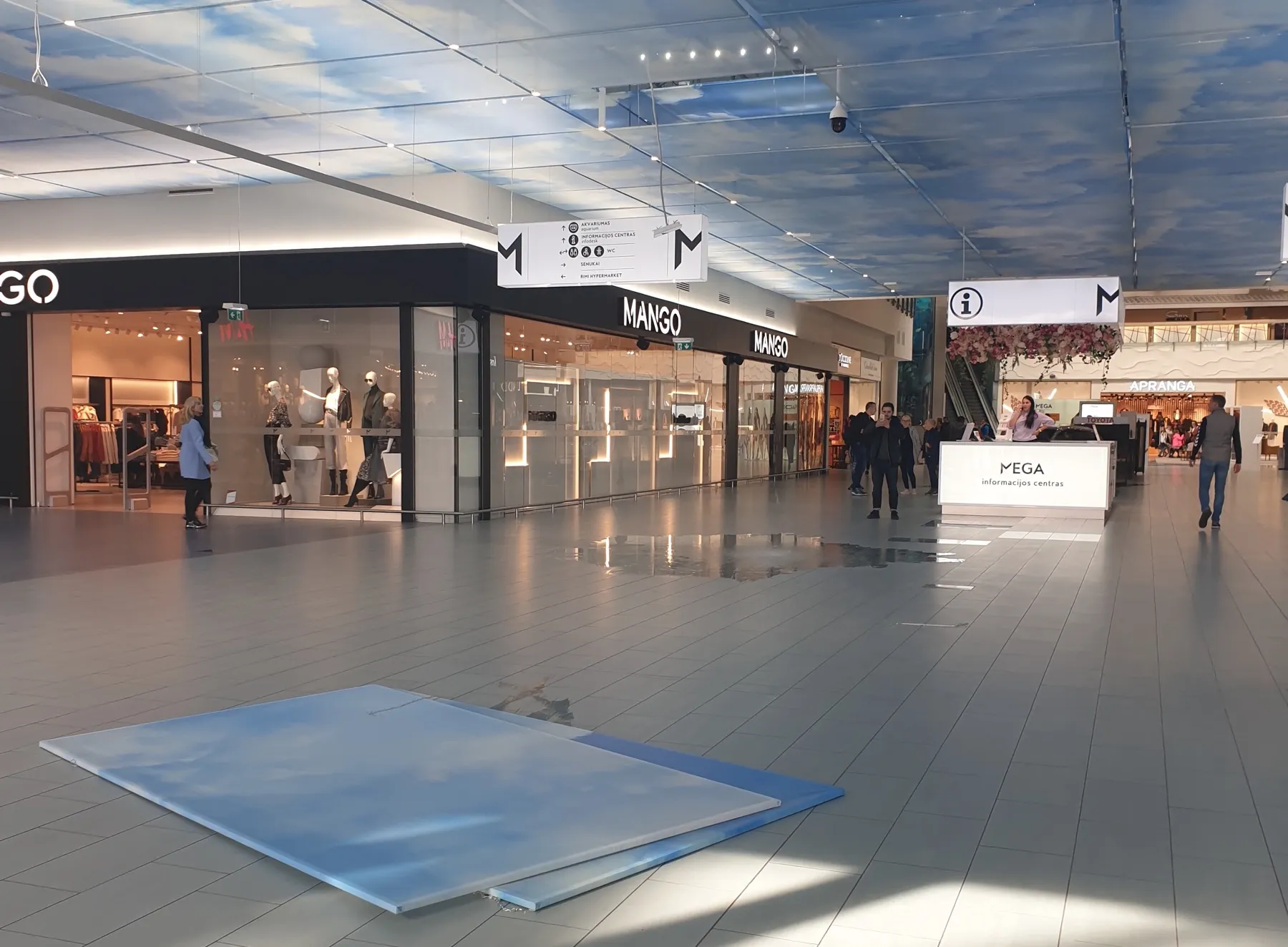 „Megoje“ nukrito lubos