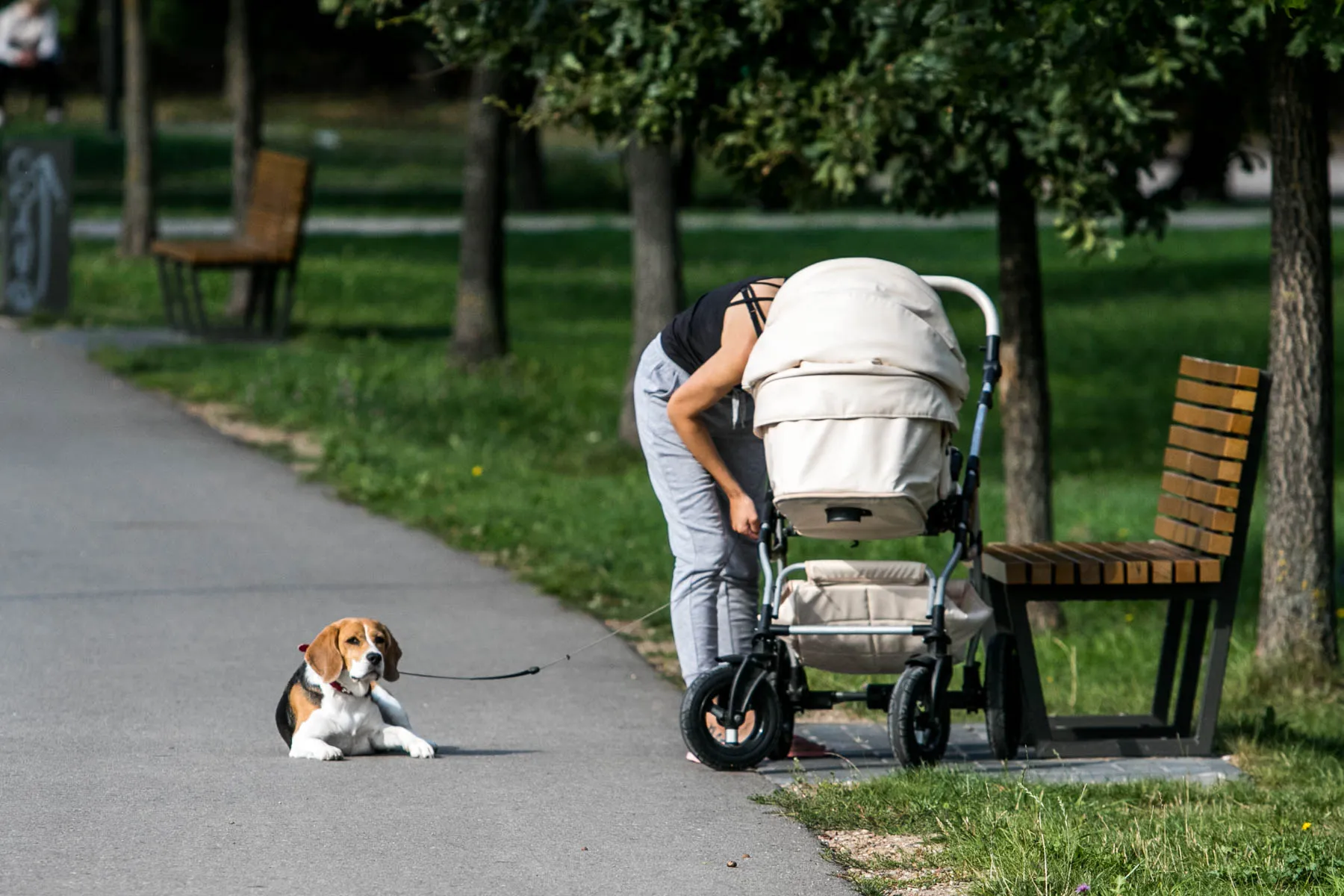 Kalniečių parkas, mama, vaikas