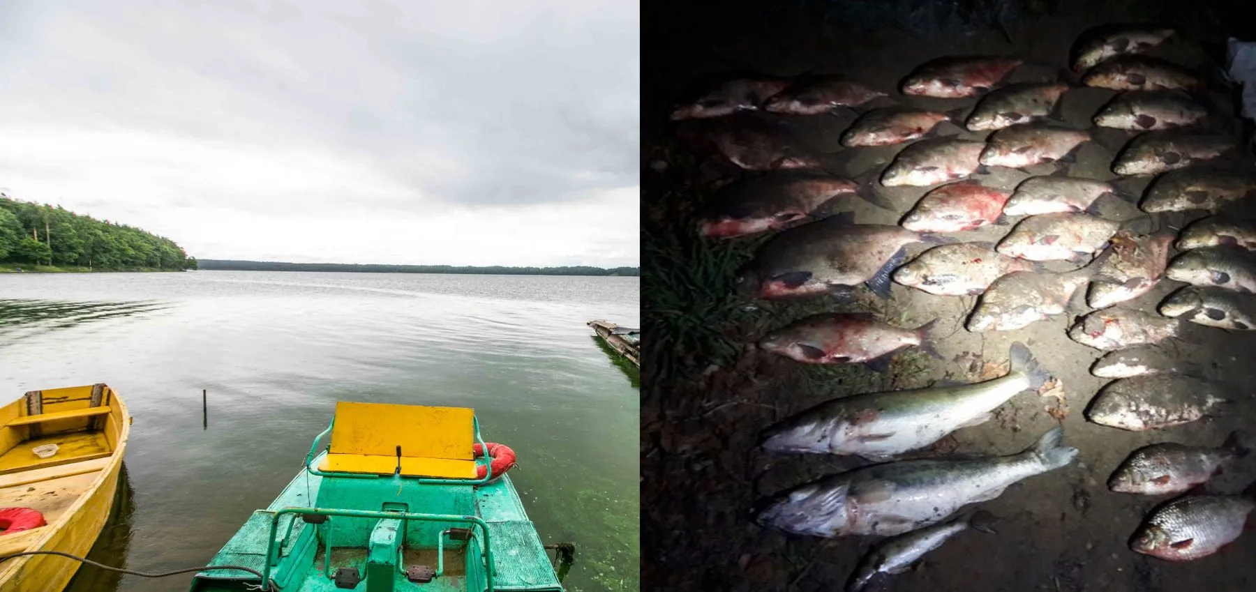 Nelegali žvejyba Kauno mariose