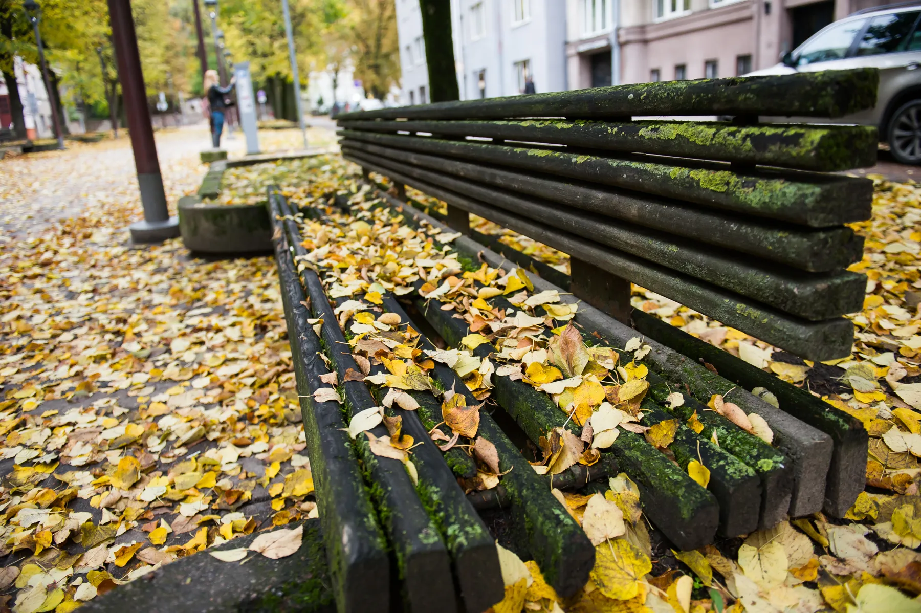 Laisvės alėja tarp Soboro ir Trakų gatvės