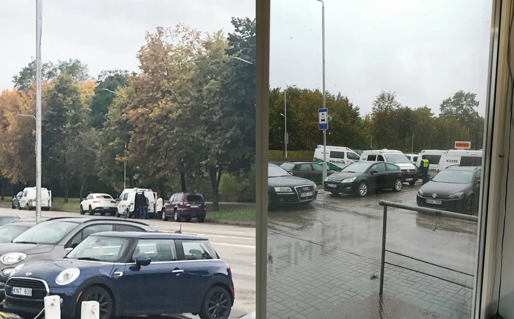 Jonavos gatvėje sustabdytas „BMW“, floros simfonija, kratos