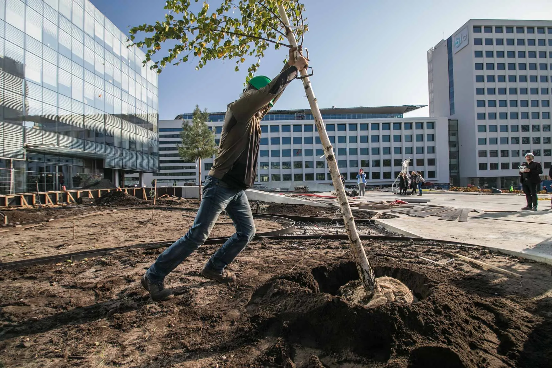 BLC medelių sodinimas