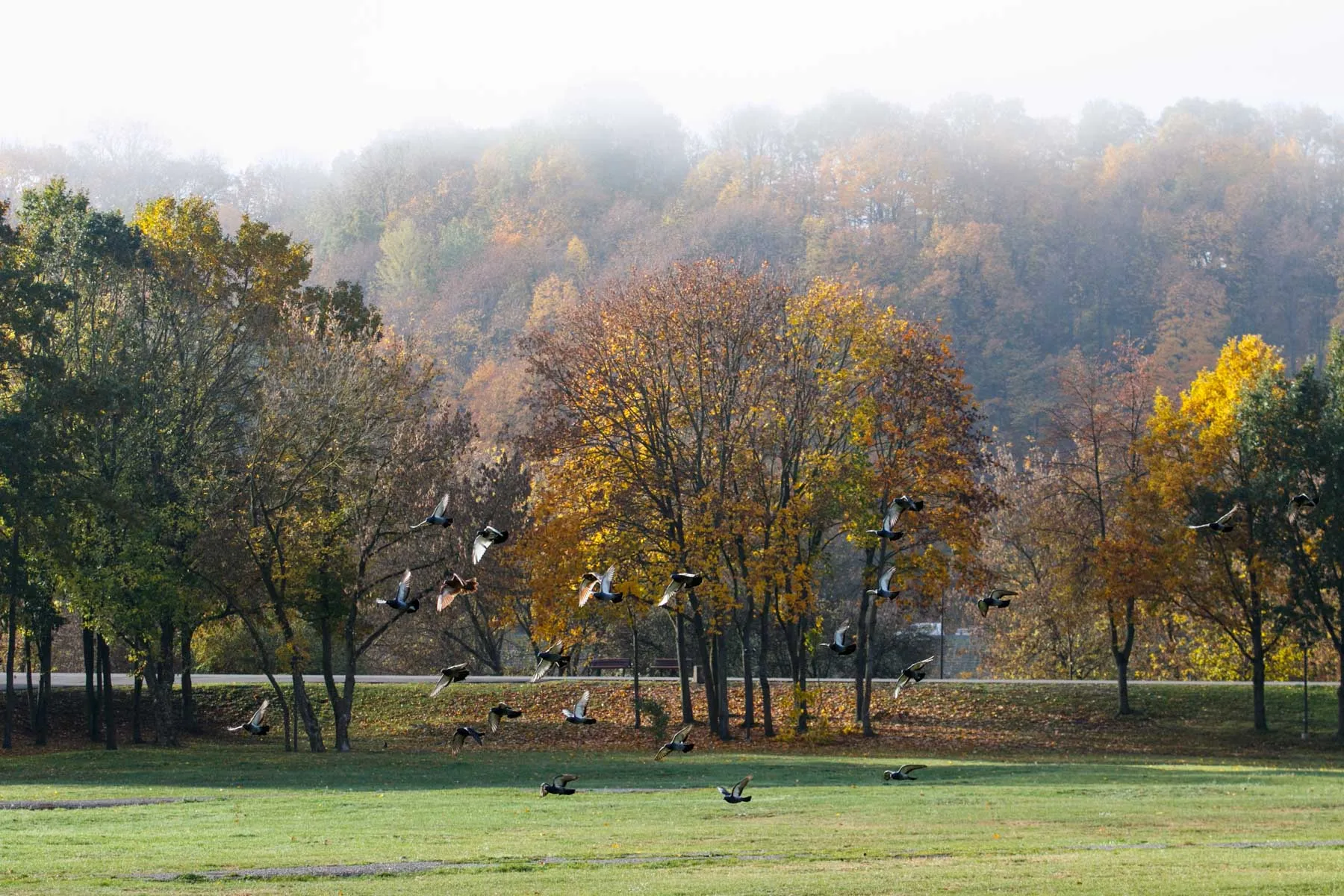 Vasariškas ruduo Kaune