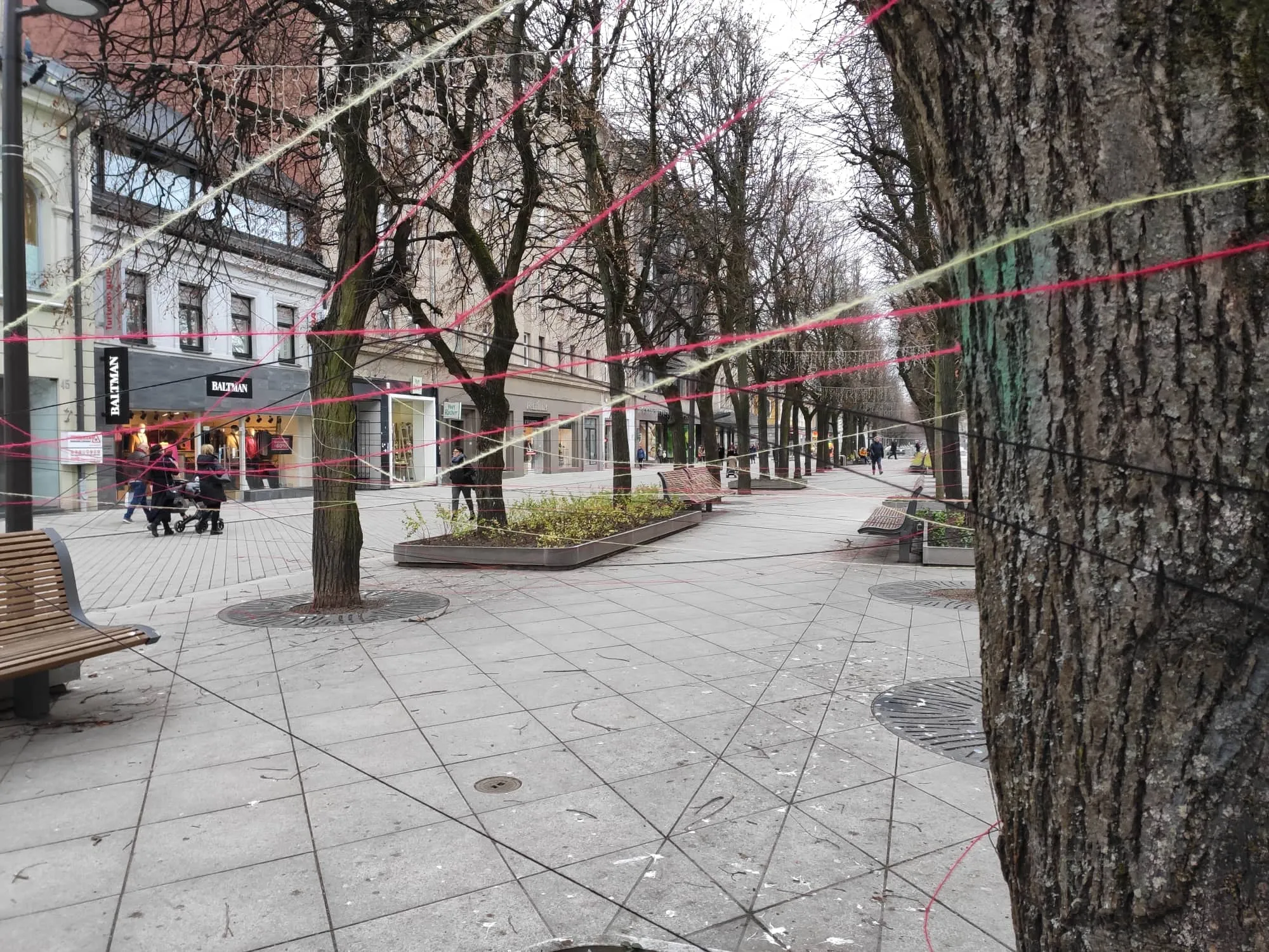 Siūlais apraizgyta Laisvės alėja