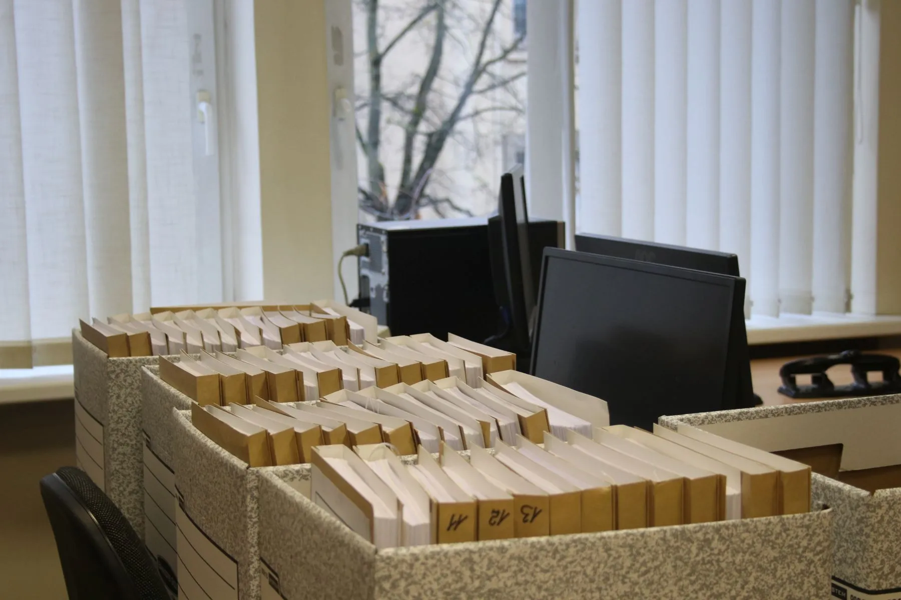 Banko „Snoras“ byla