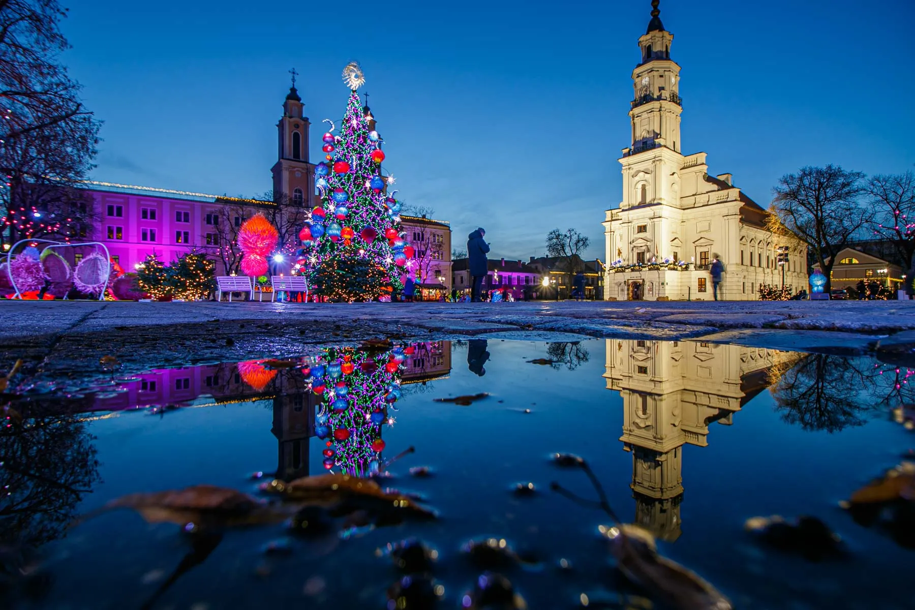 Kauno Kalėdų eglutė Rotušėje