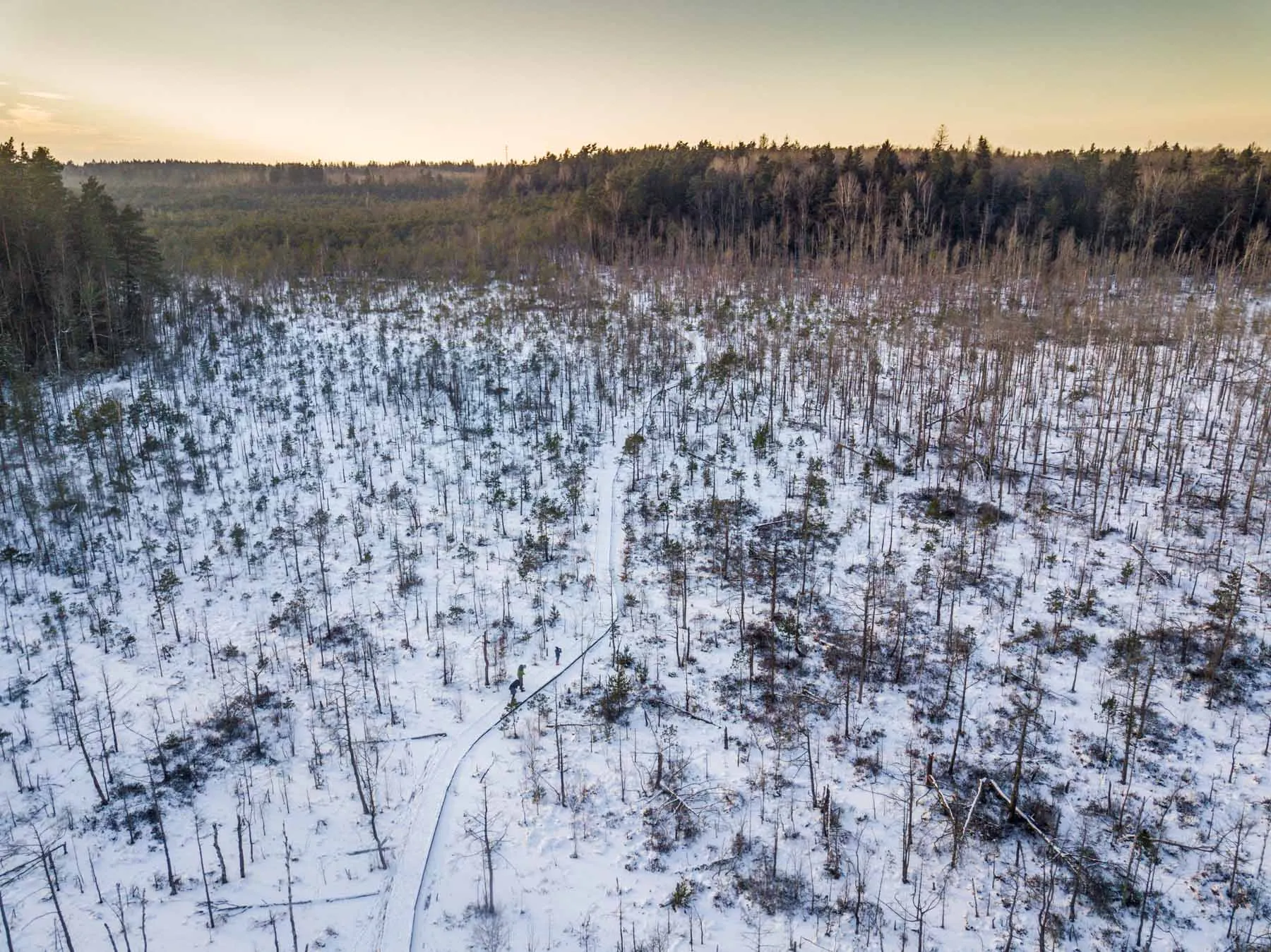 Dubravos pelkė./R. Tenio nuotr.