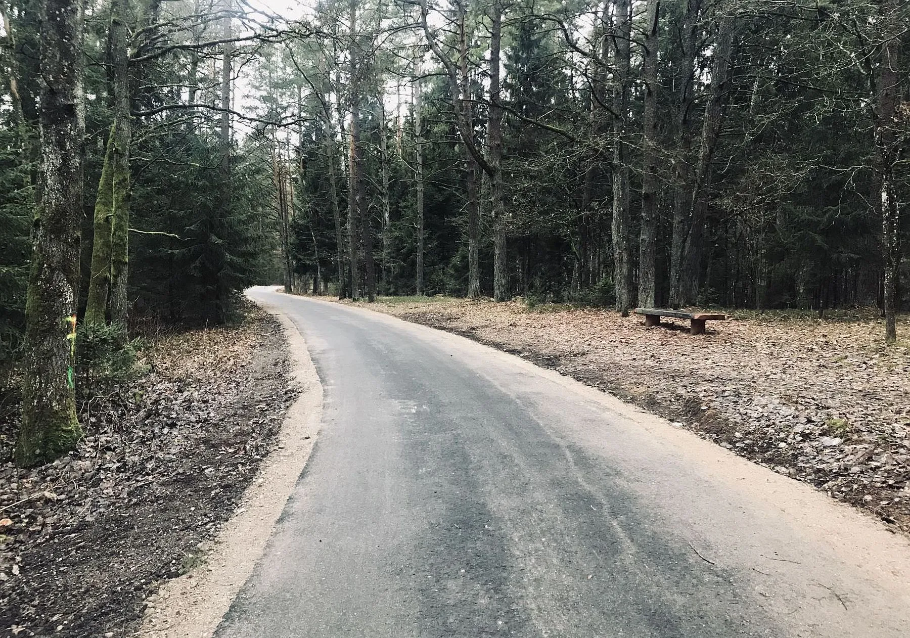 Kleboniškio parko takas