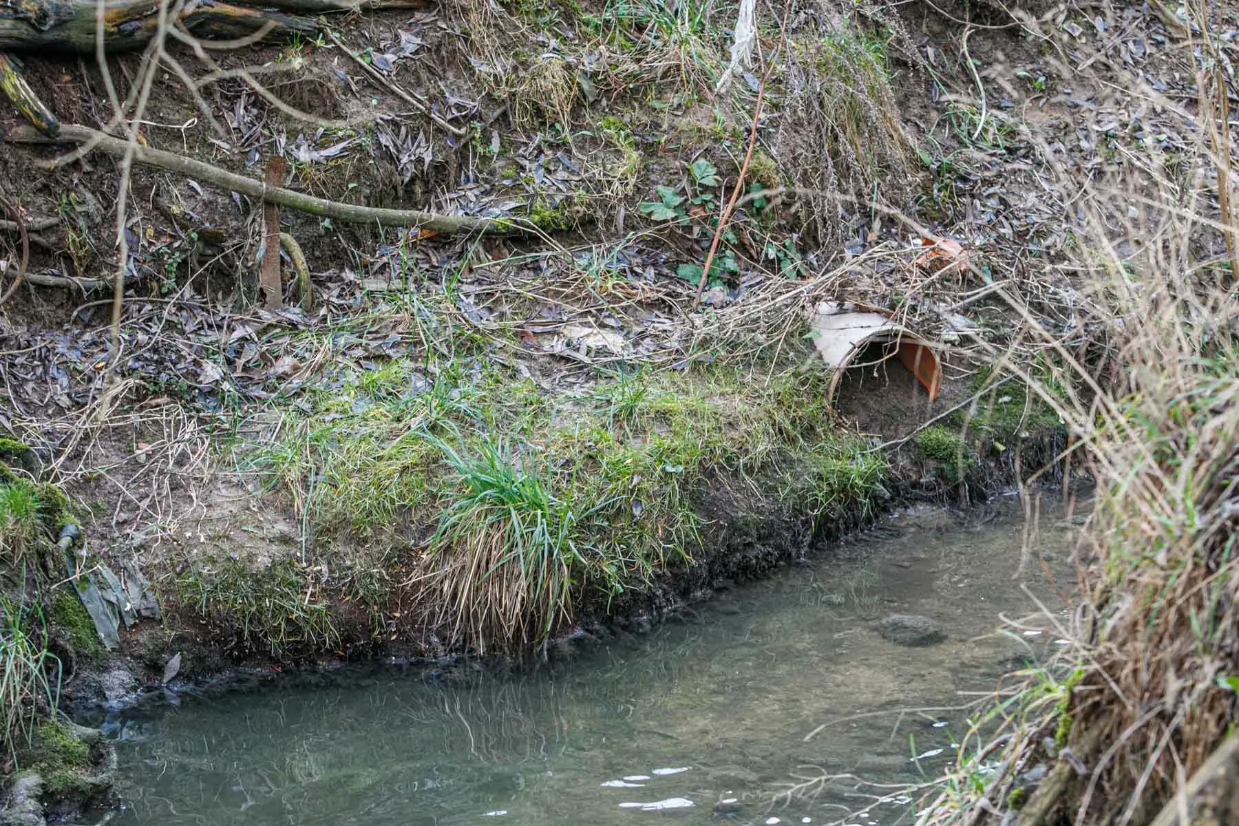 Gričiupio upelis to paties pavadinimo parke
