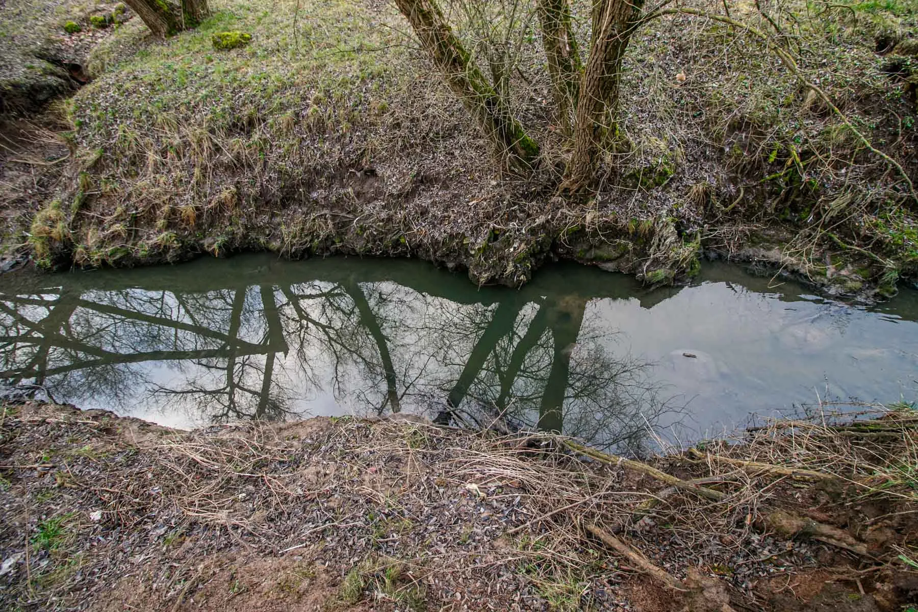 Gričiupio upelis to paties pavadinimo parke
