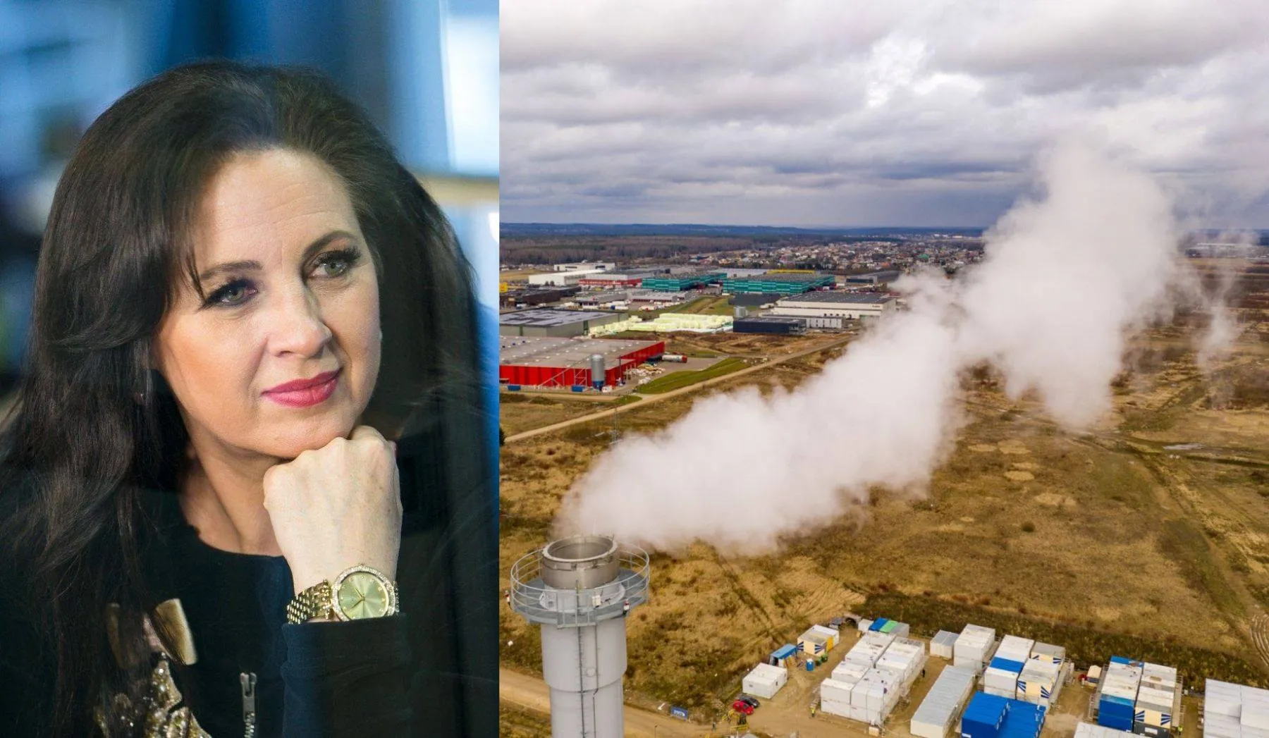 L. Kazlauskienė, kogeneracinė jėgainė