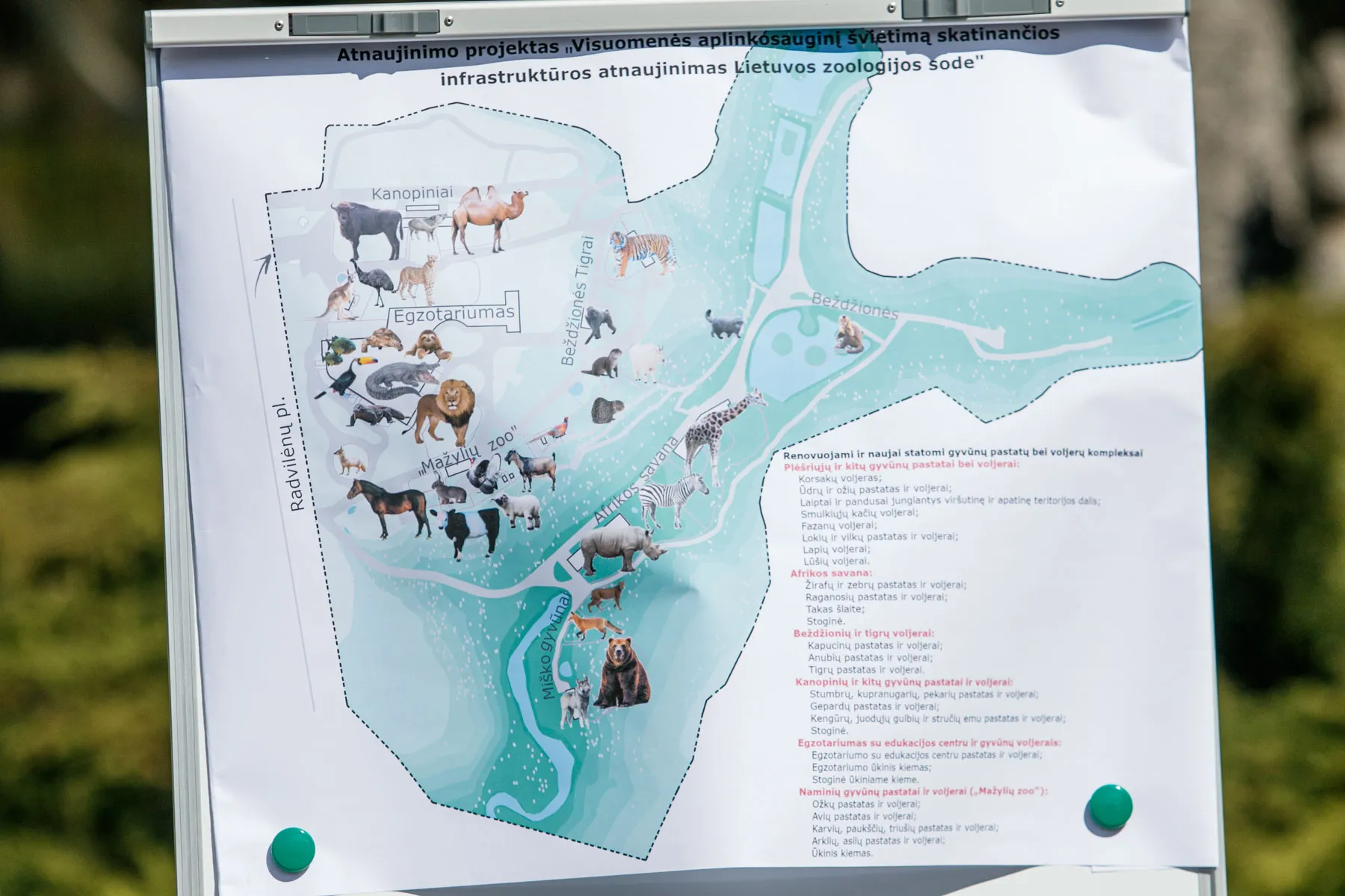 Zoologijos sodo rekonstrukcijos pristatymas