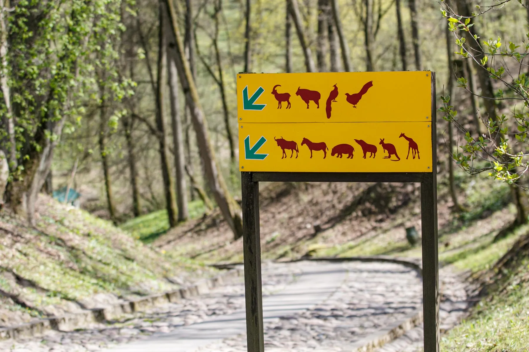 Zoologijos sodo rekonstrukcijos pristatymas