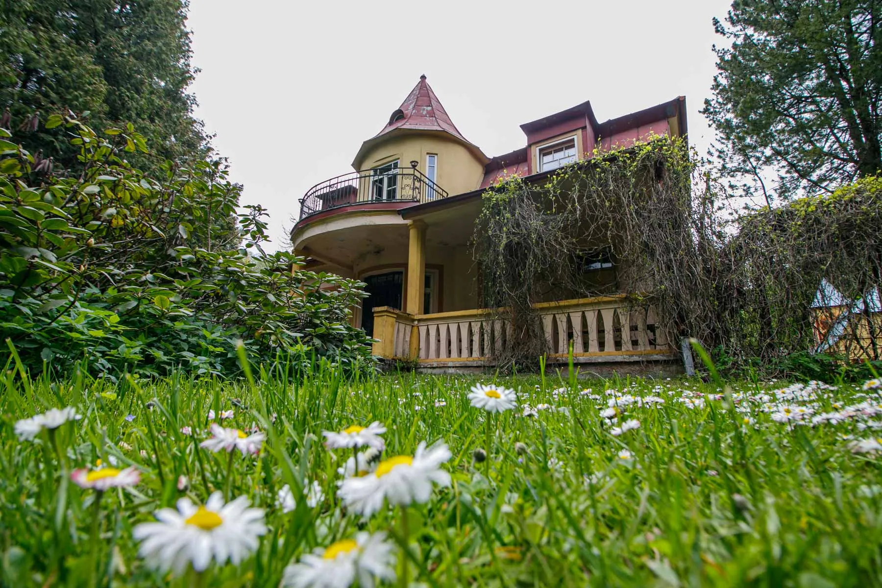 Tado Ivanausko Obelynės sodyba