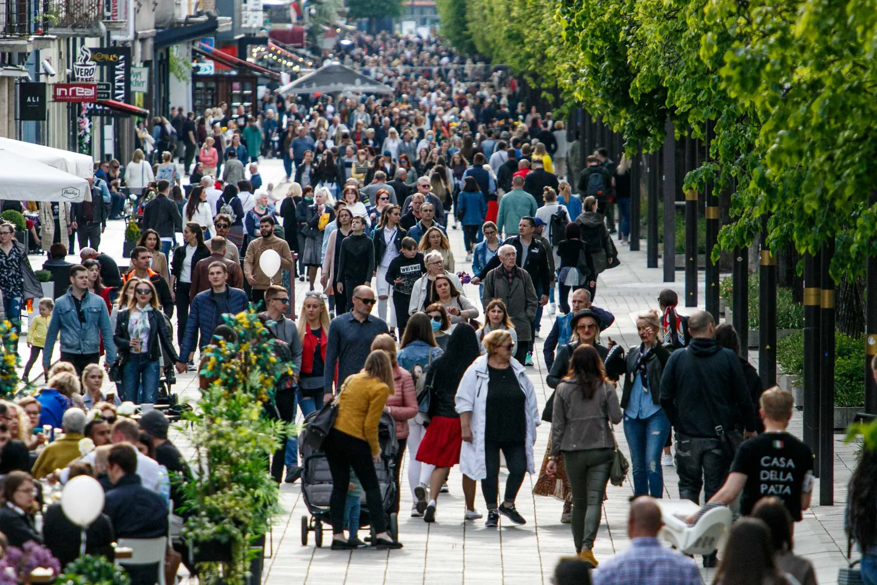 Kauno gimtadienis Laisvės alėjoje