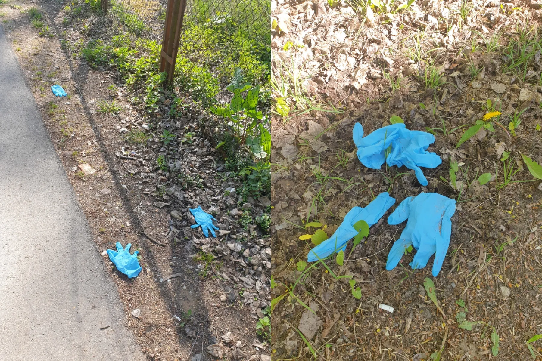 Vienkartinės pirštinės