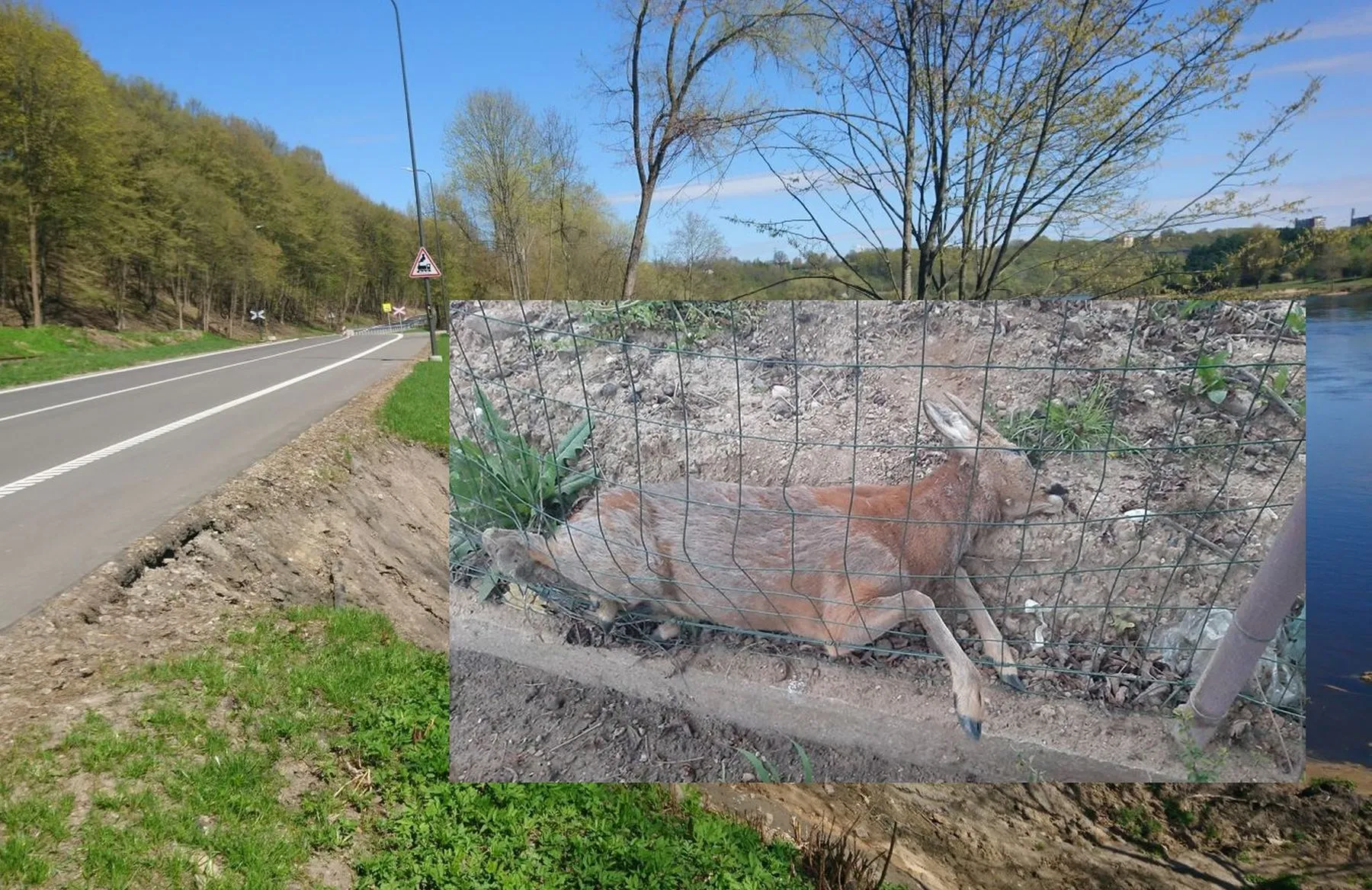 Švenčionių gatvė