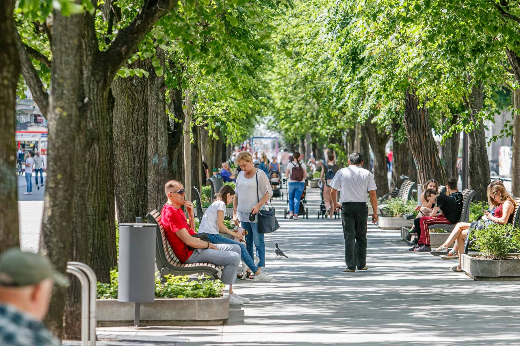 Pirmoji ir paskutinės karatino dienos