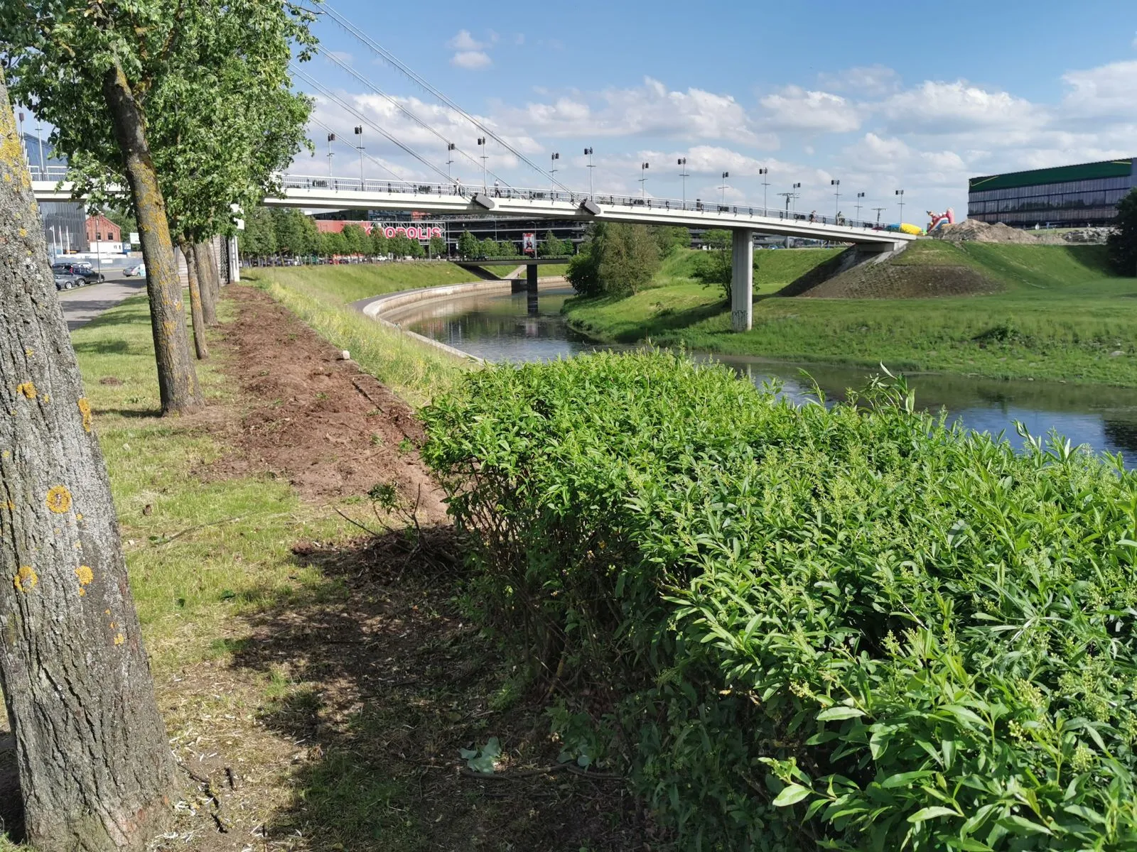 Gyvatvorė K. Mindaugo prospekte