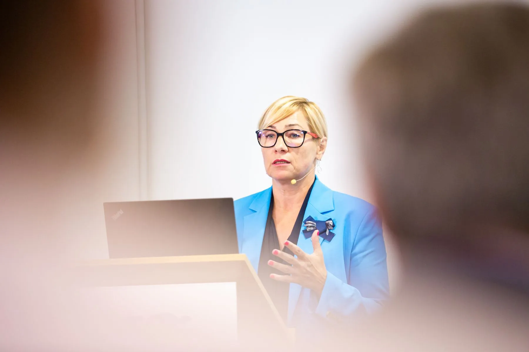 TS-LKD rinkimų programos pristatymas kauniečiams