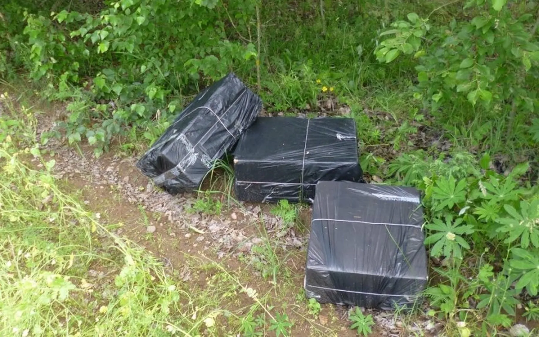 Kontrabandinės cigaretės