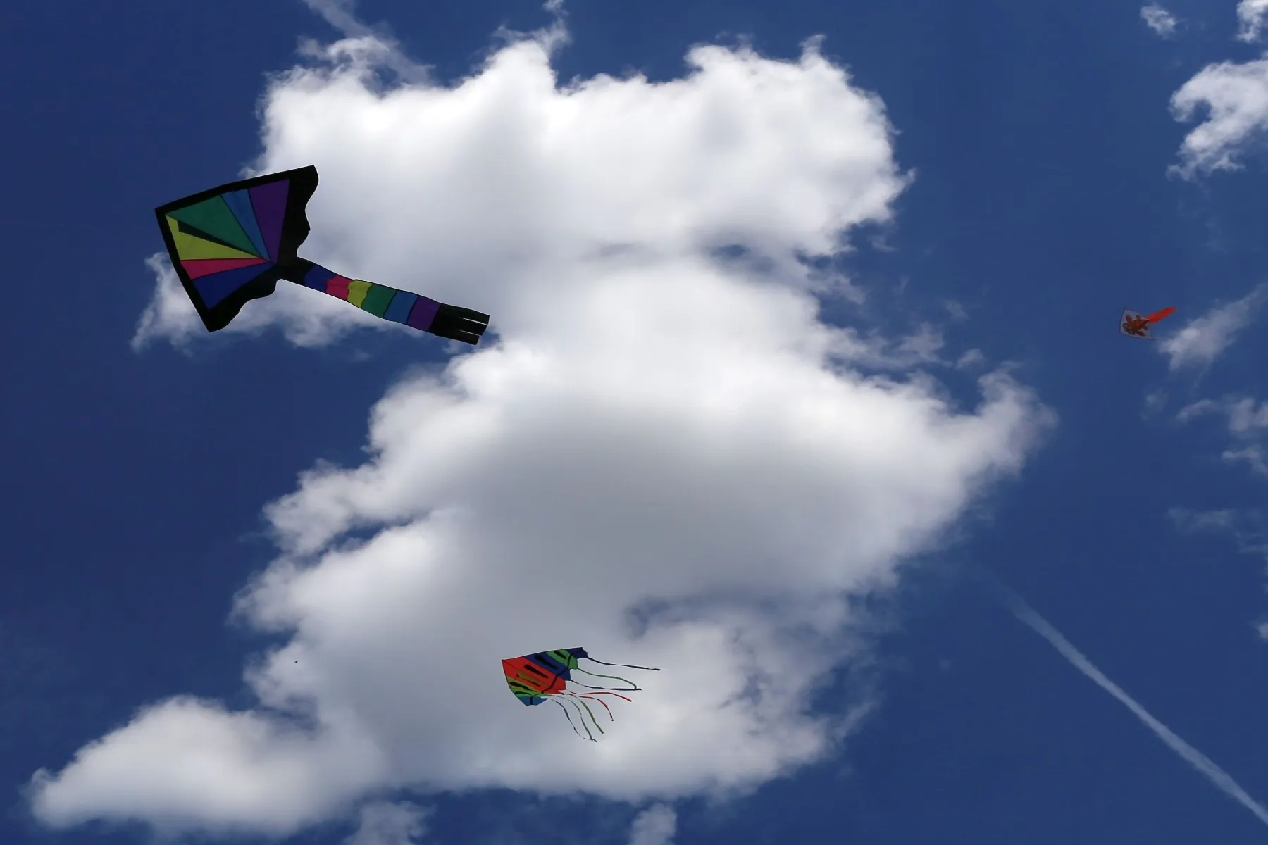 Zapyškio aitvarų festivalyje į dangų kyla įvairių formų ir spalvų skraidymo aparatai