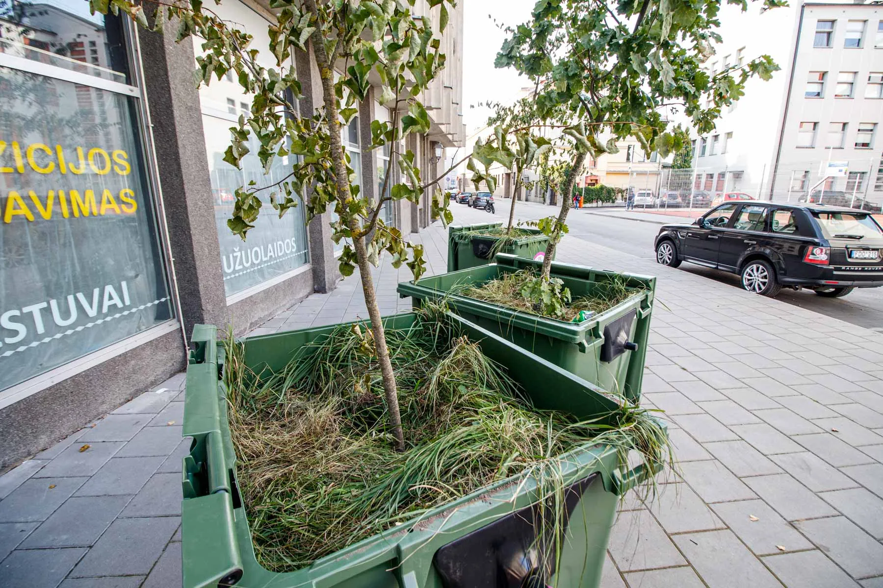 Medeliai šiukšlių konteineriuose