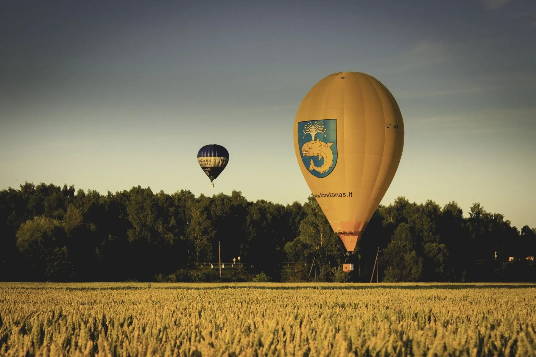 Lietuvos karšto oro balionų čempionatas Birštone