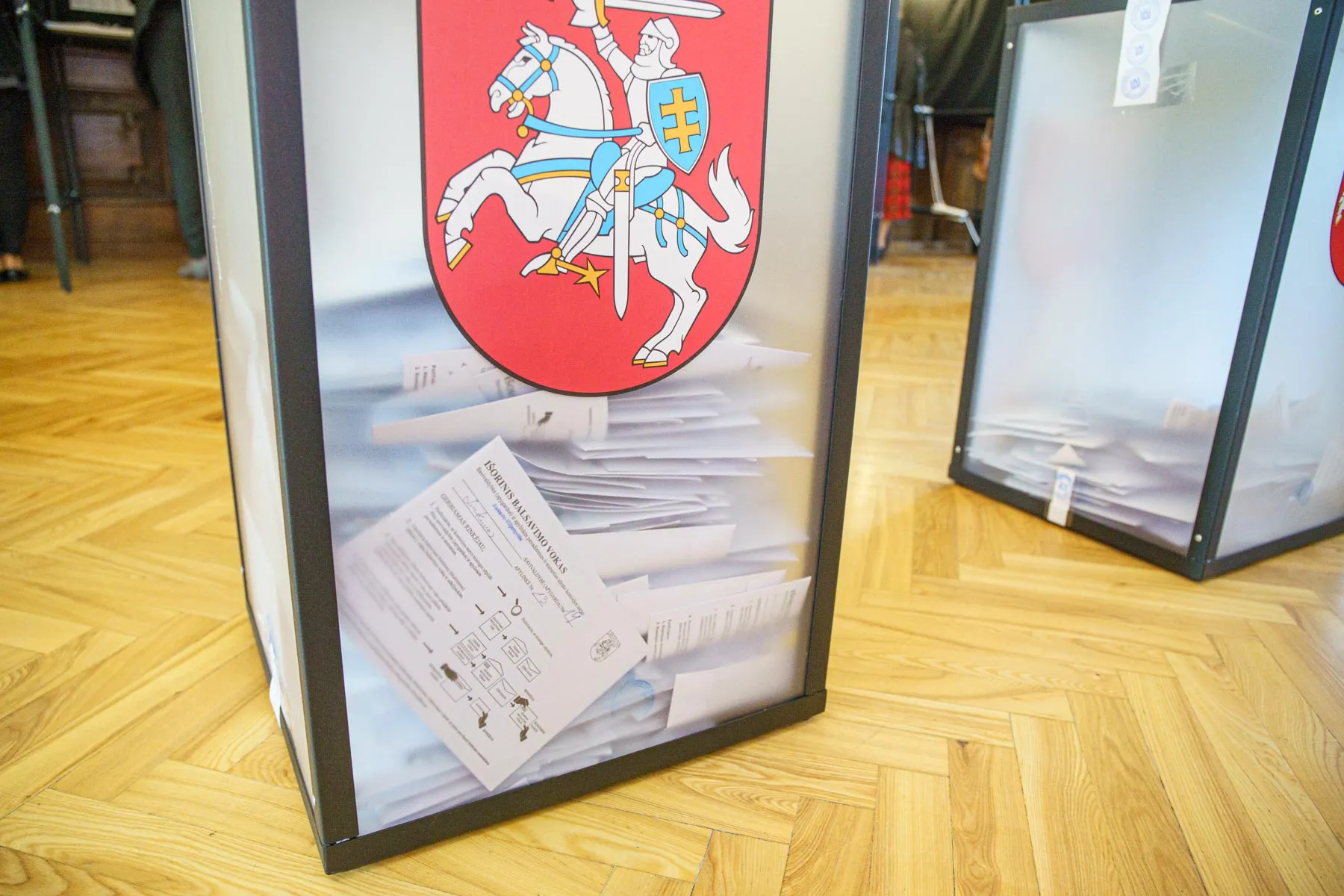 R. Karbauskis ir G. Landsbergis atvyko balsuoti