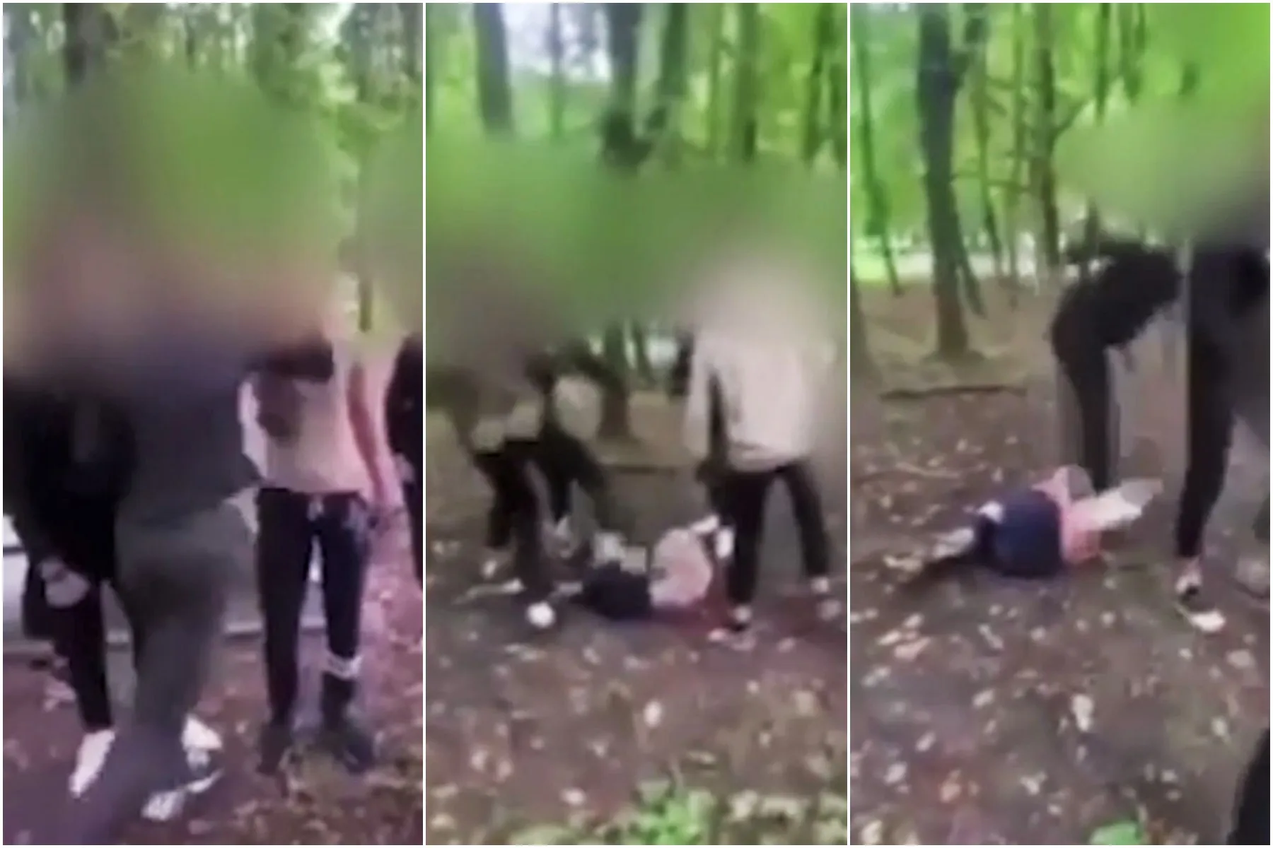 Muštynės Draugystės parke