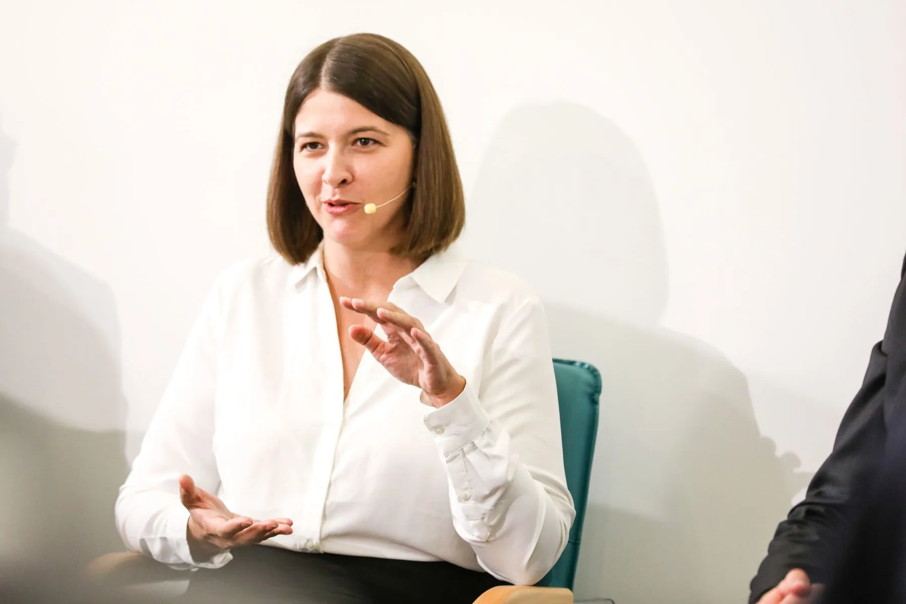 Tėvynės sąjungos - Lietuvos krikščionys demokratai