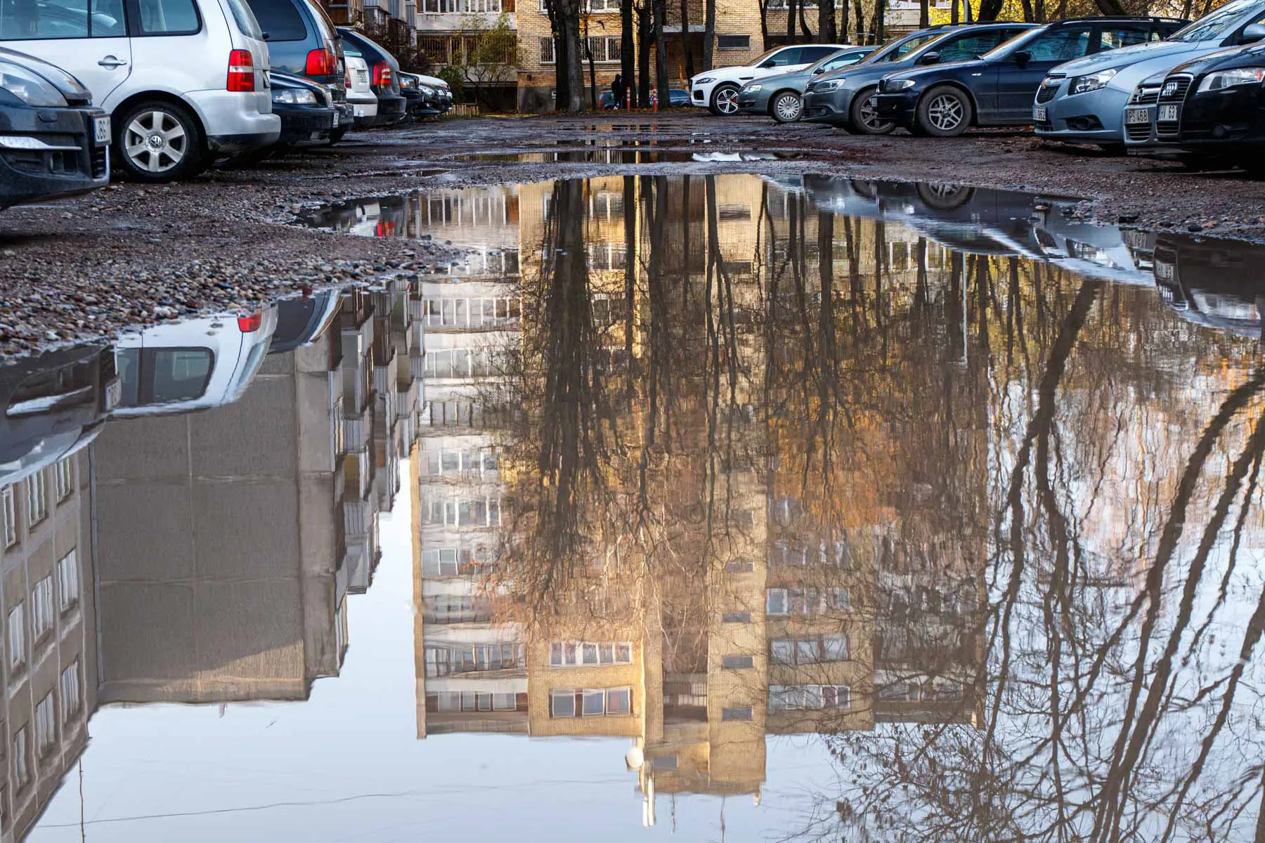 Duobėtas Taikos pr. 47 kiemas