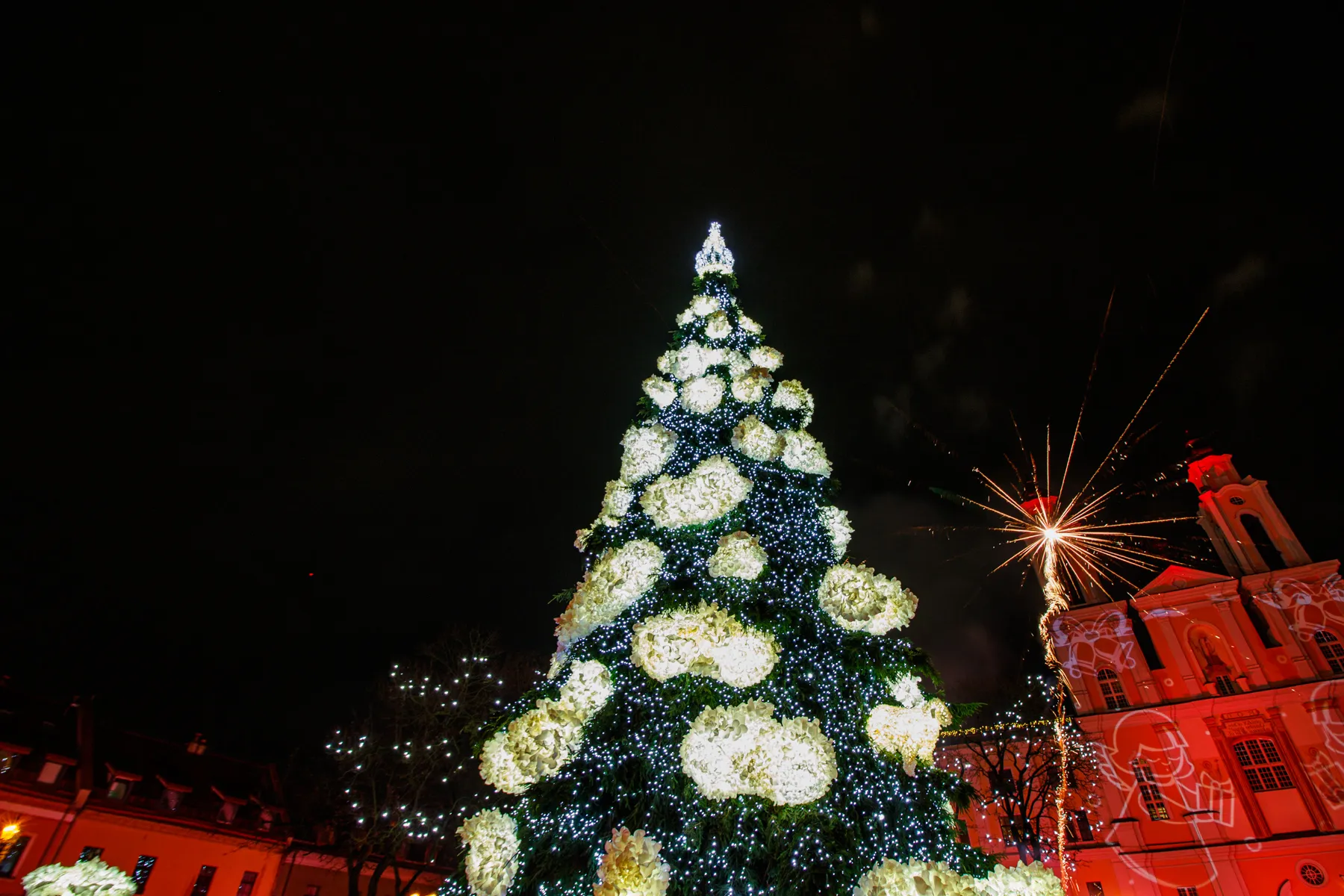 Kauno Kalėdų eglutė