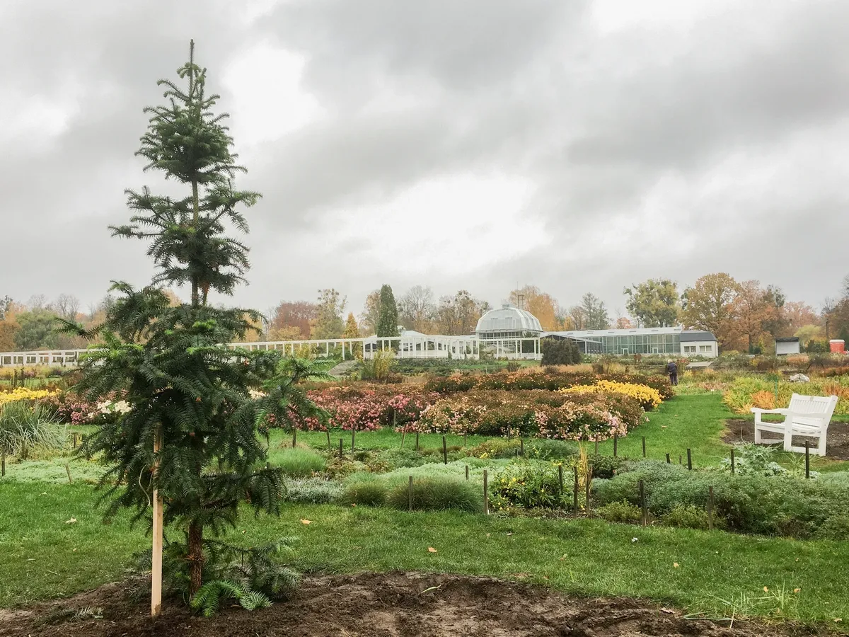 Naujas augalas VDU Botanikos sode