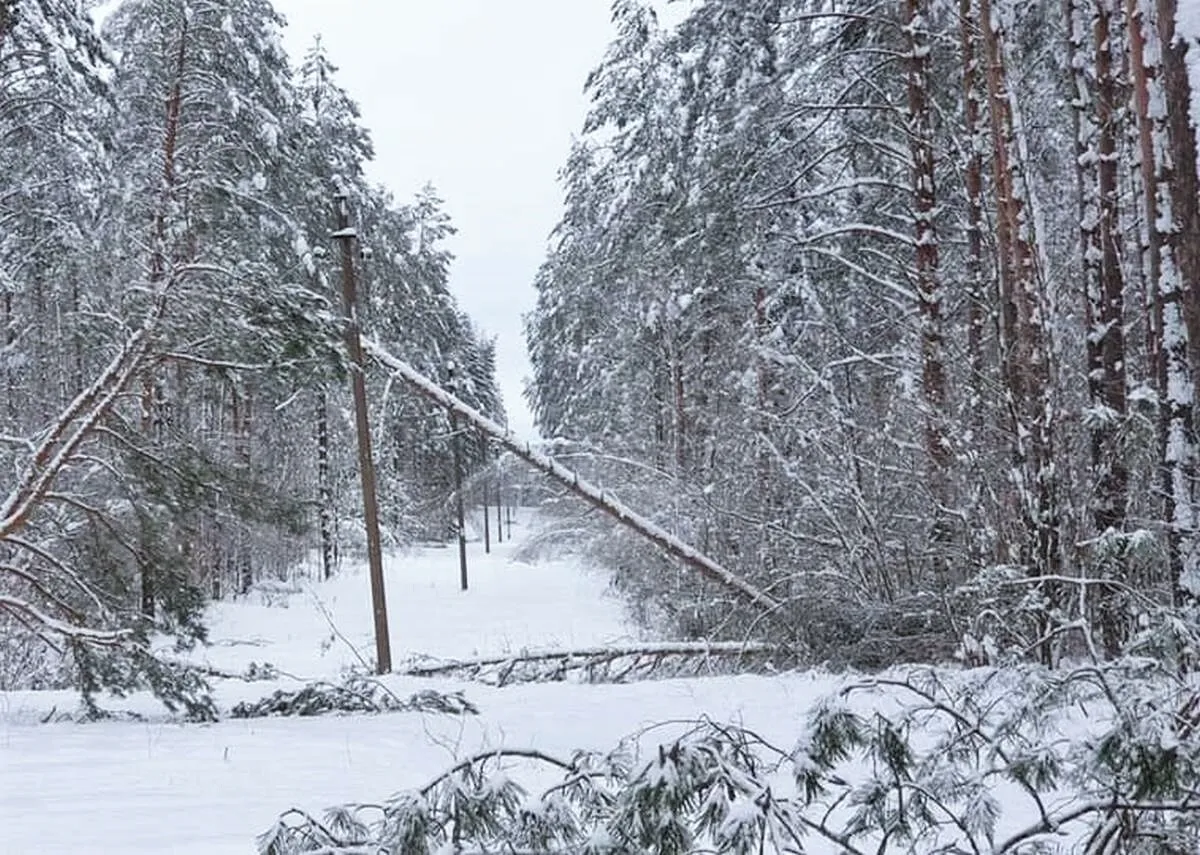 Nutrauktos elektros linijos