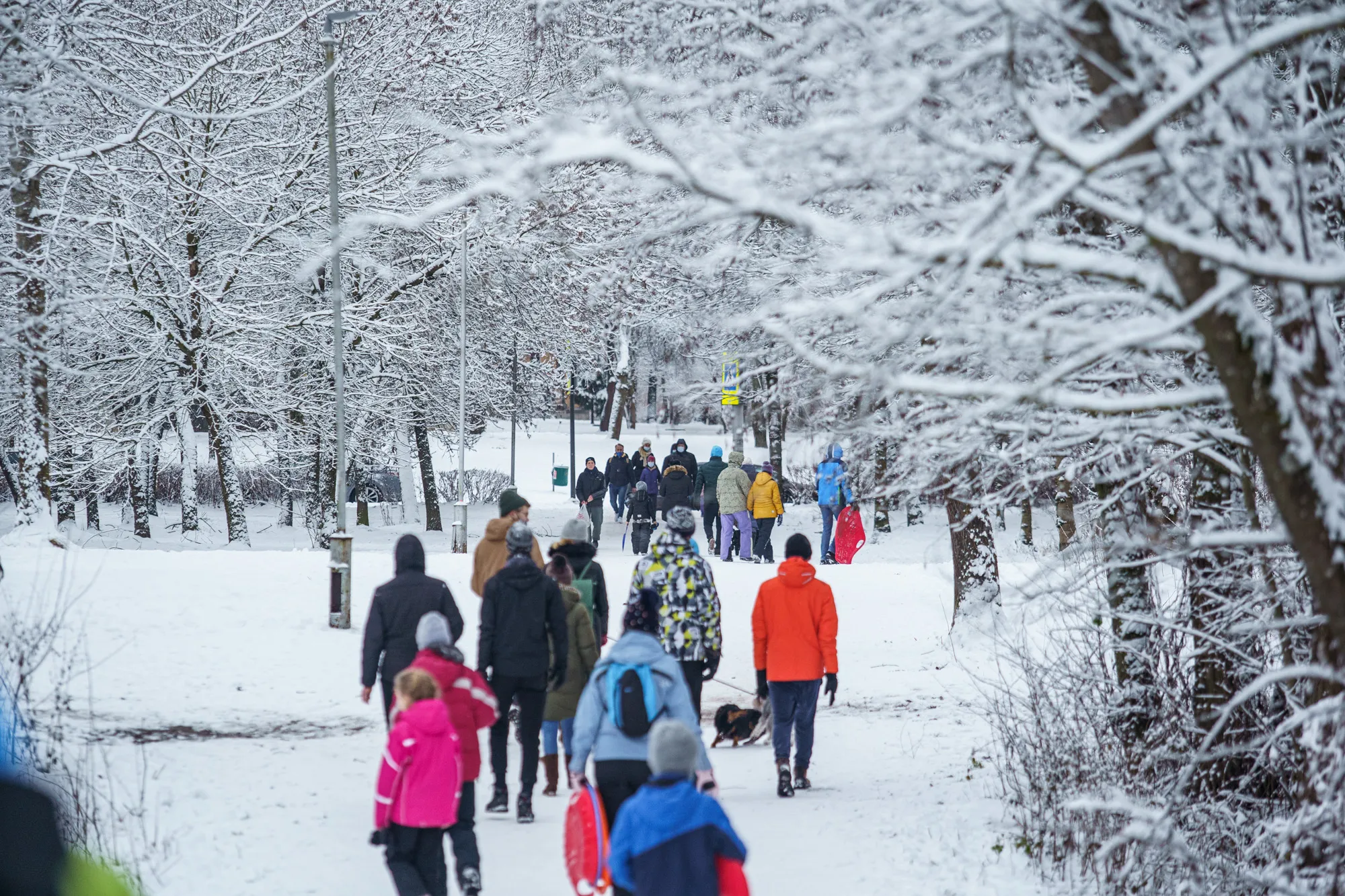 Žiemos pramogos karantino metu