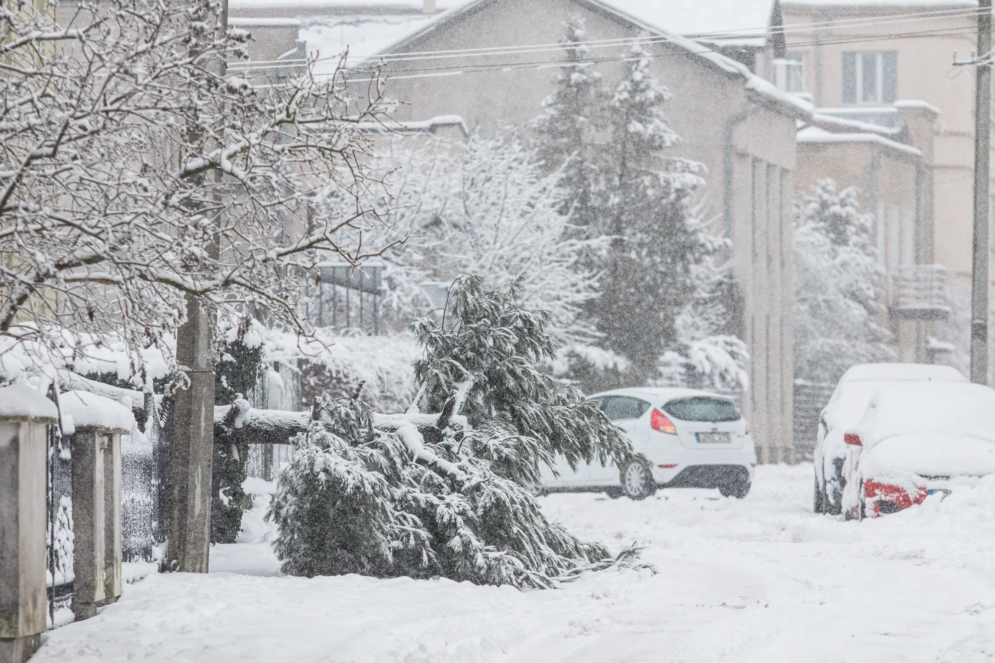 Stiprus snygis mieste