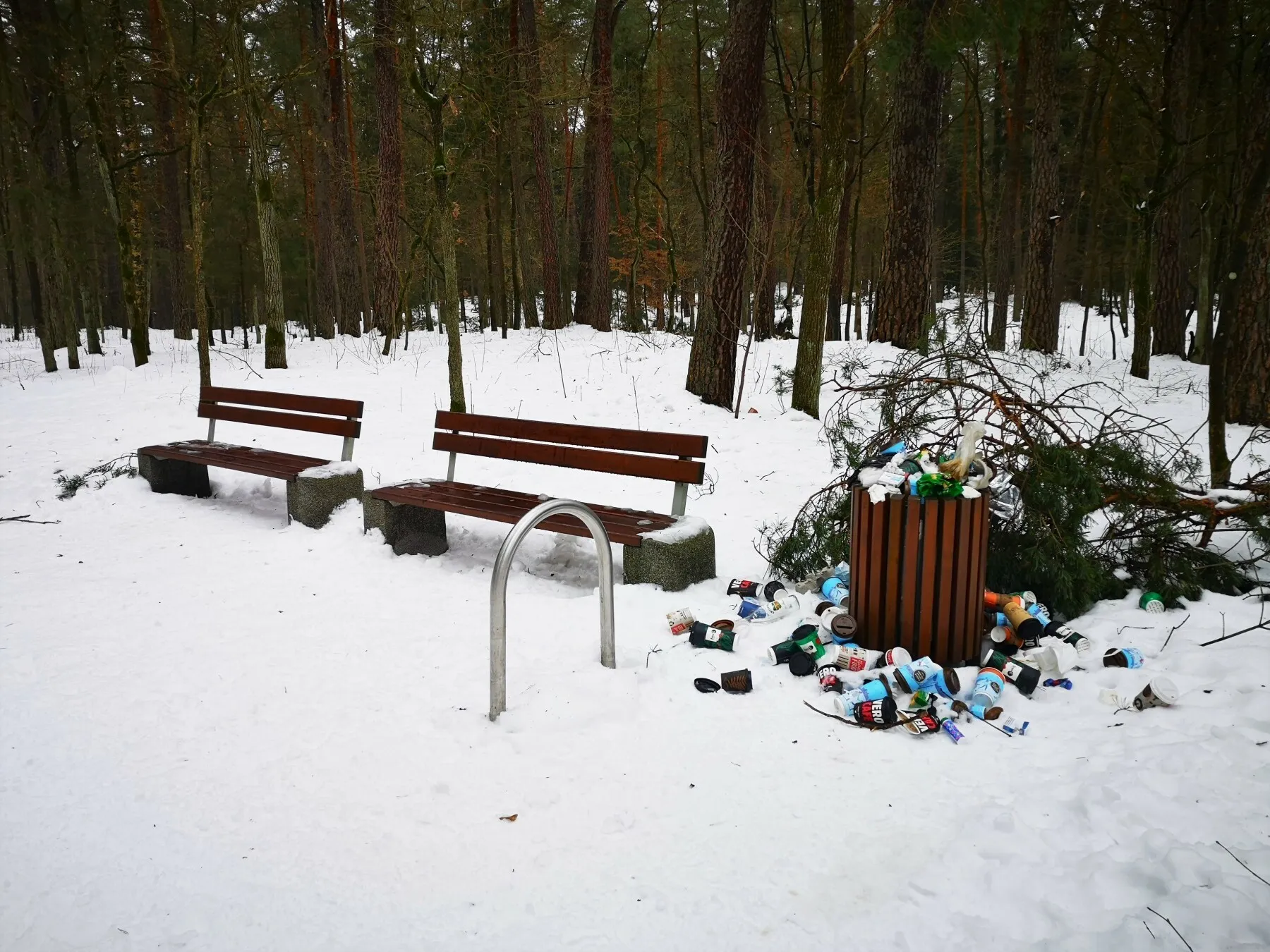 Šiukšlės Panemunės šilo parke