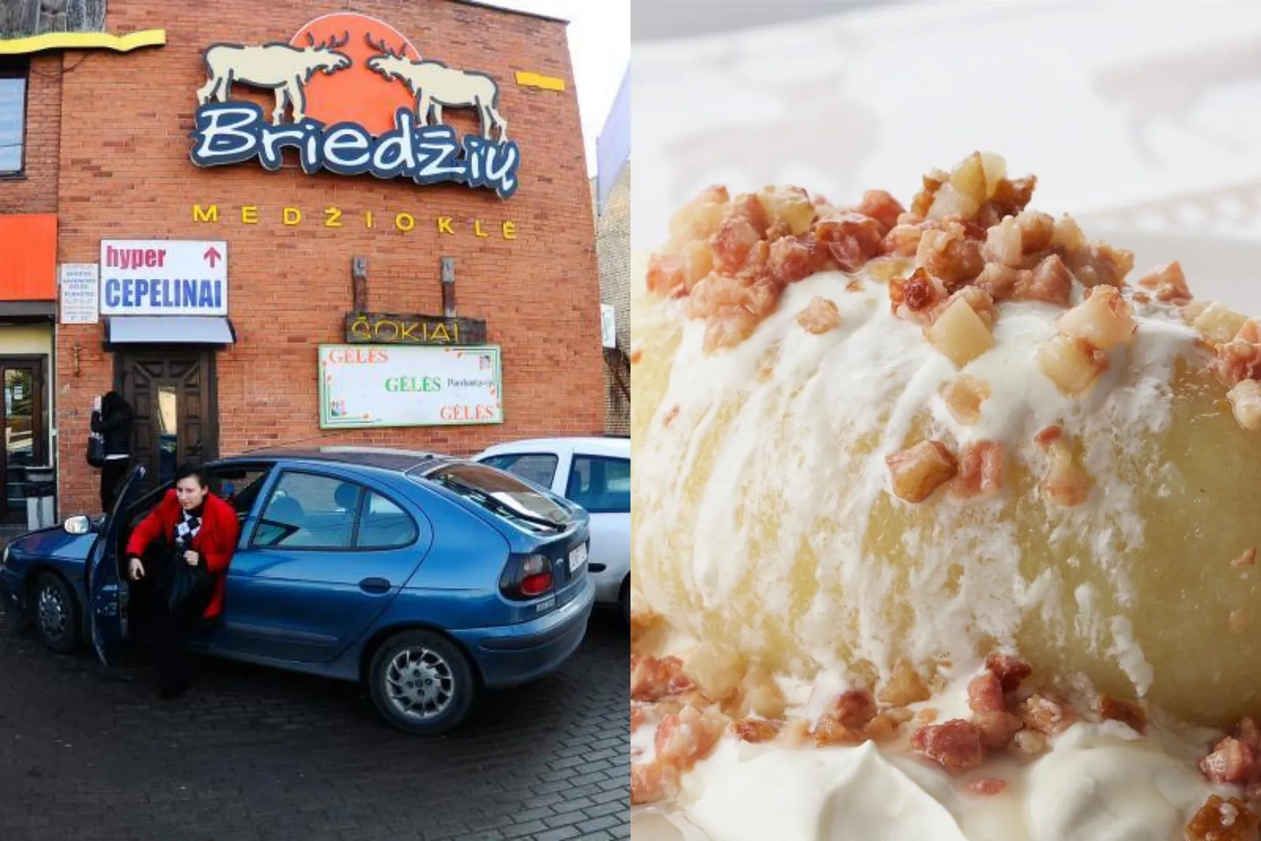 „Briedžių medžioklė“, Inga Budrienė