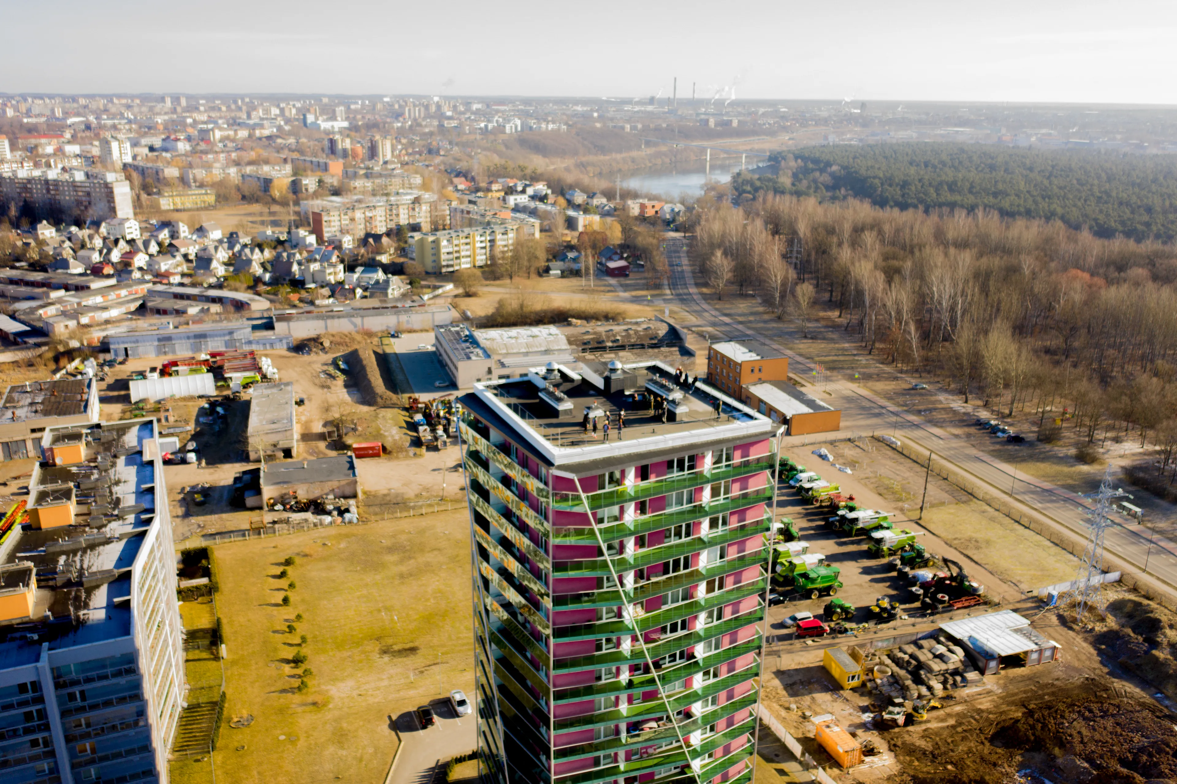 Manskta ant stogo (3 of 8)