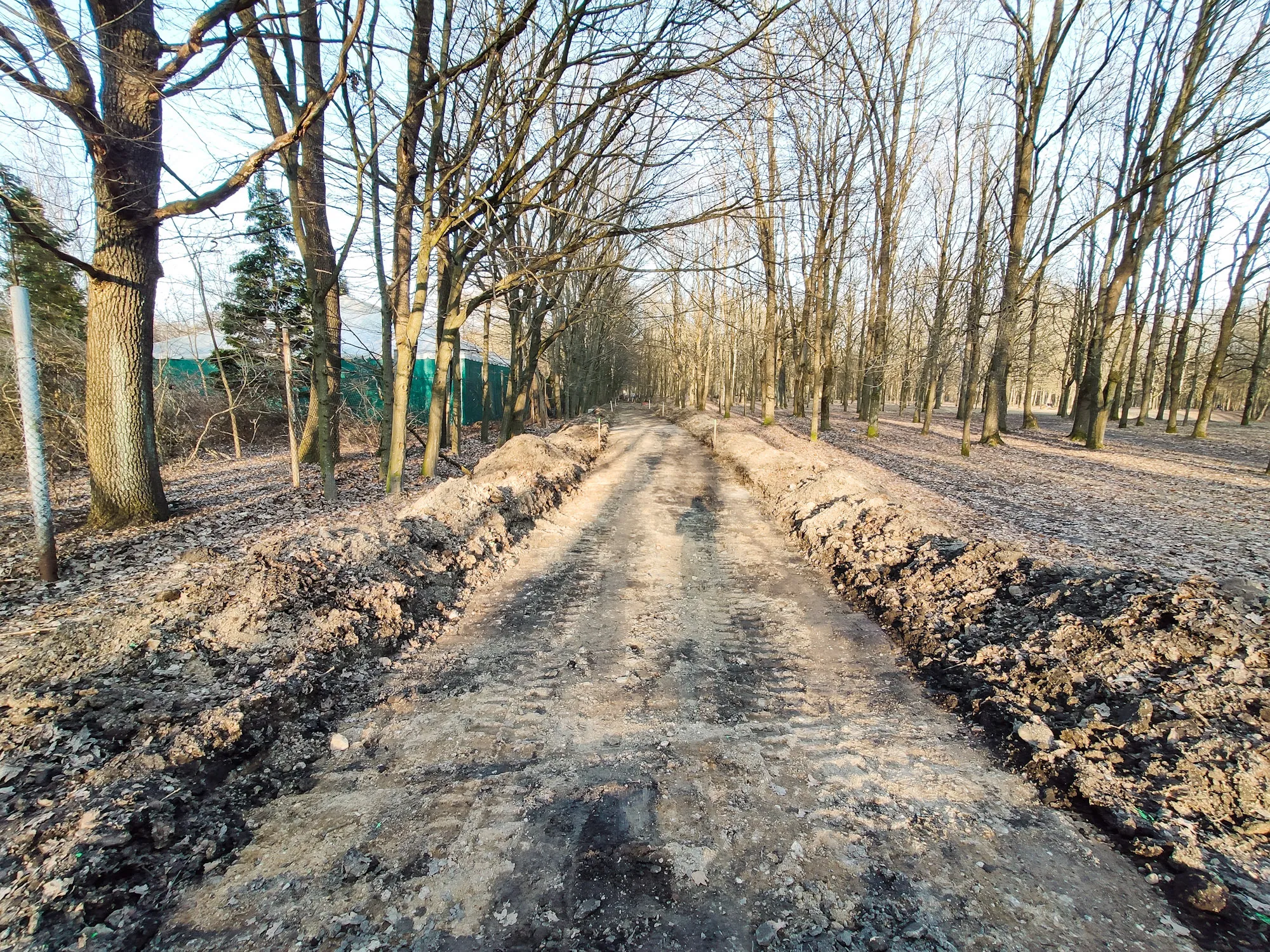 Ąžuolyno parke tiesiami takai